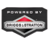 Briggs & Stratton
