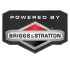 Briggs & Stratton