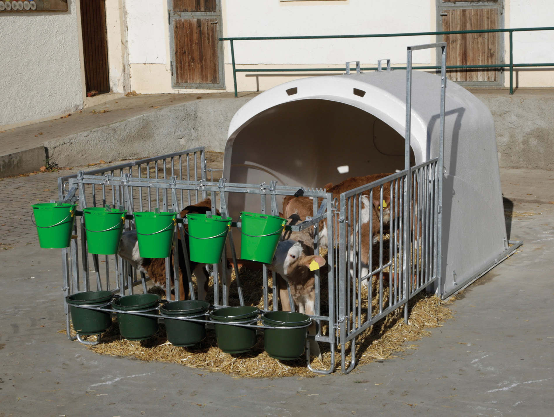 Kit niche à veaux Premium KERBL avec courette pour 4 à 5 veaux