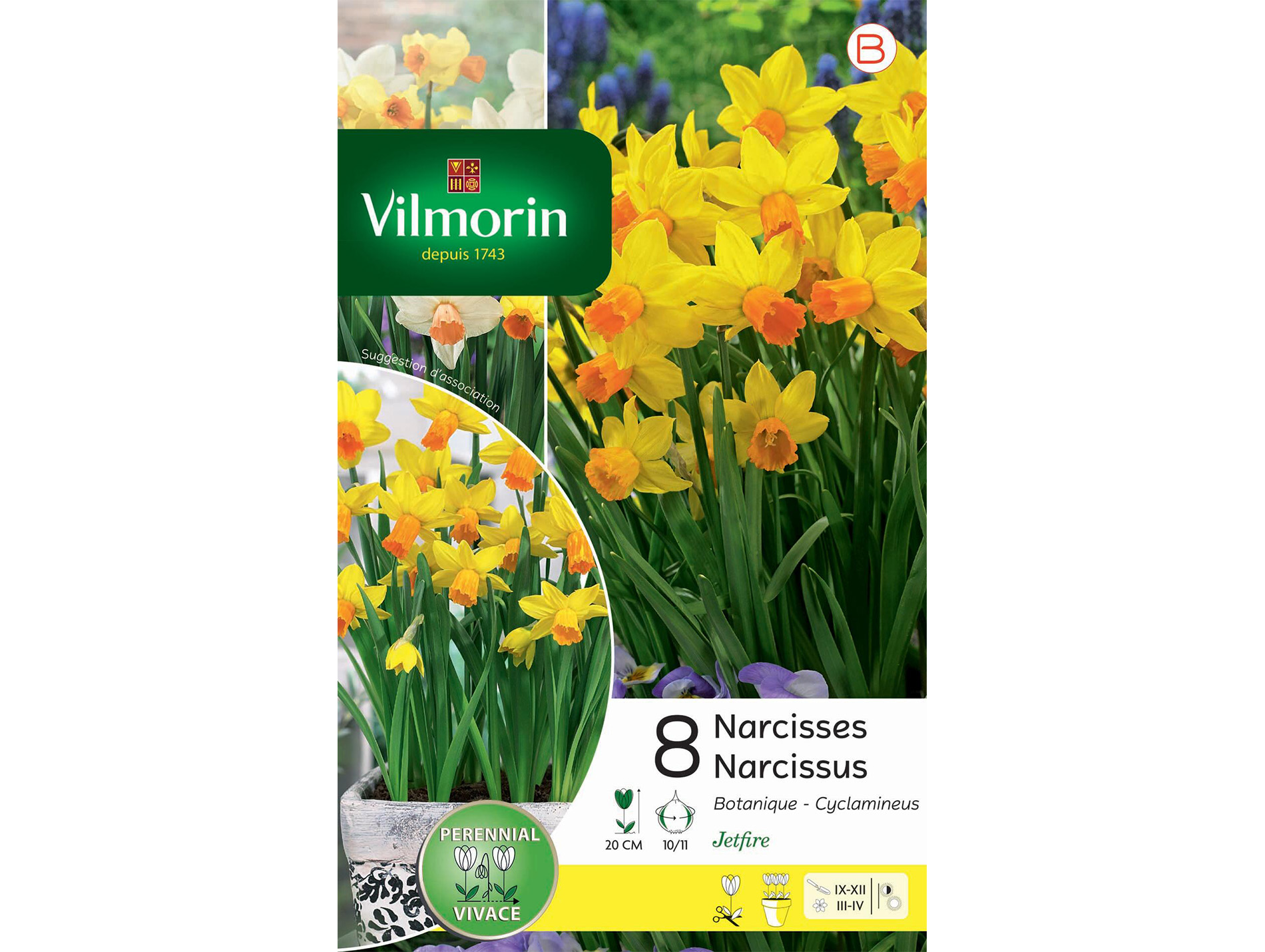 Narcisse Jetfire Vil VILMORIN Série B