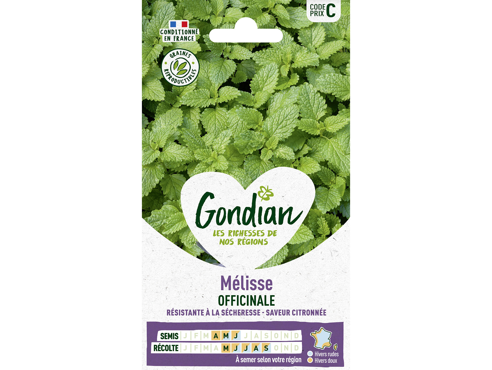 Mélisse Officinale GONDIAN Série C