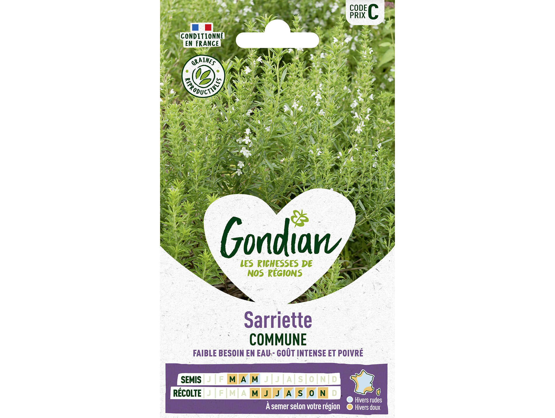 Sariette Commune GONDIAN Série C