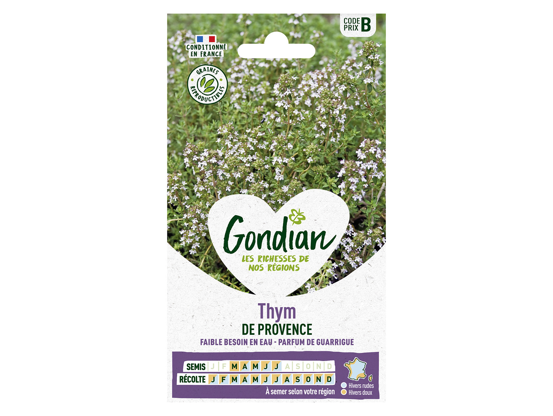 Thym de Provence GONDIAN Série B