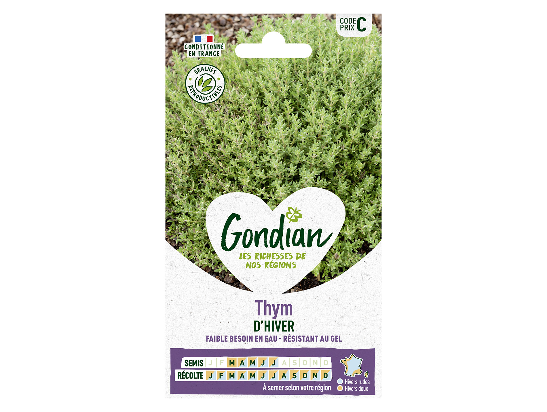 Thym d'hiver GONDIAN Série C