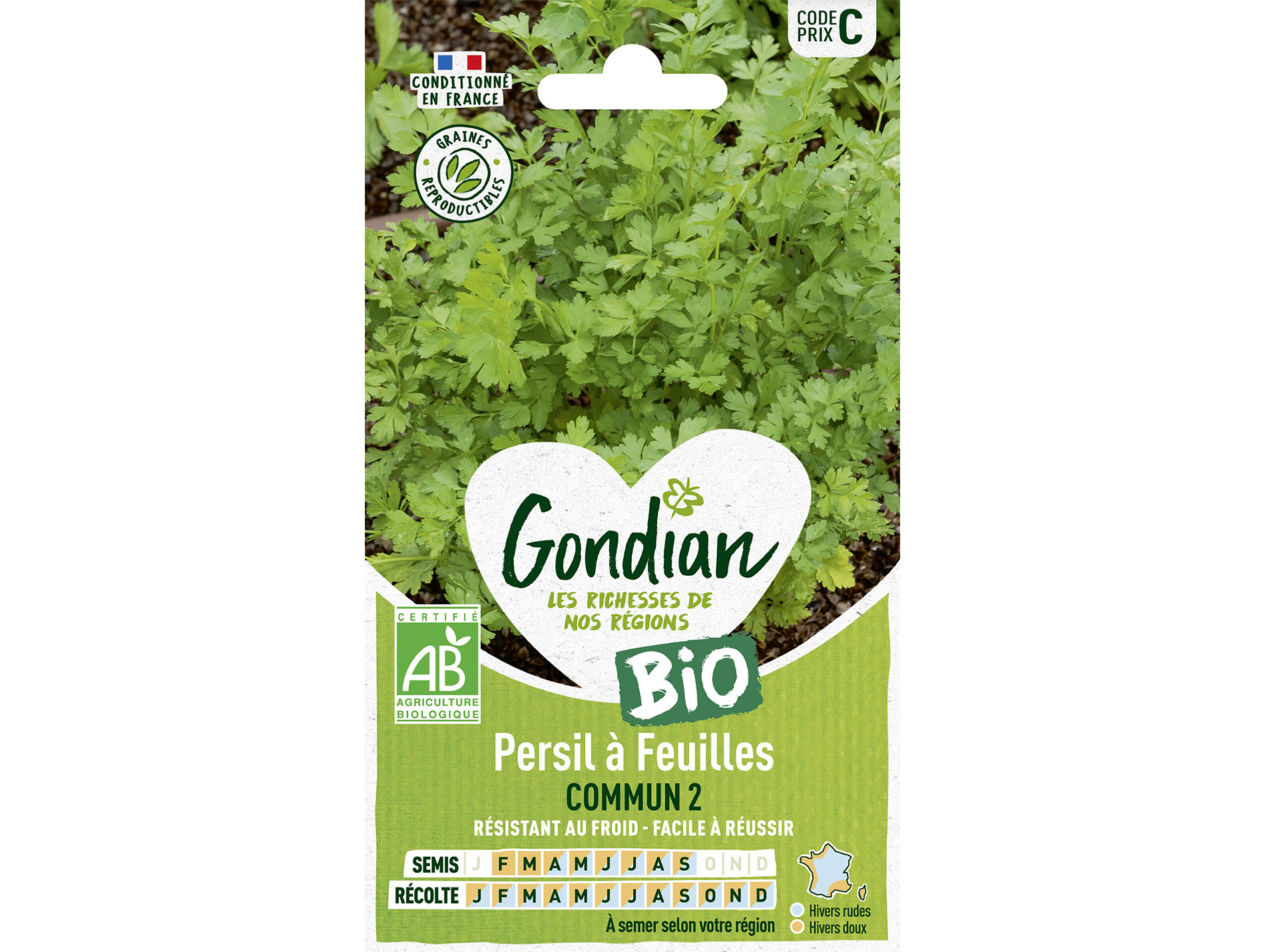 Persil à feuille commun BIO GONDIAN Série C