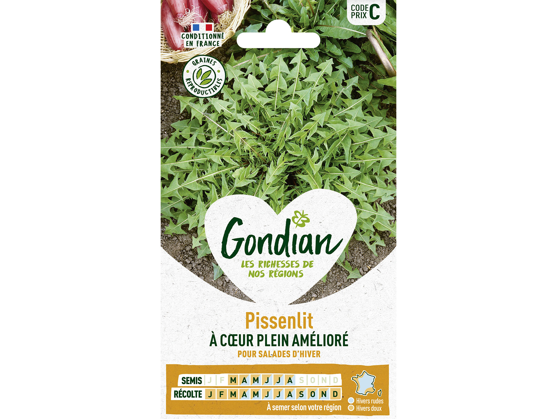 Pissenlit à Ciur Plein Amélioré GONDIAN Série C