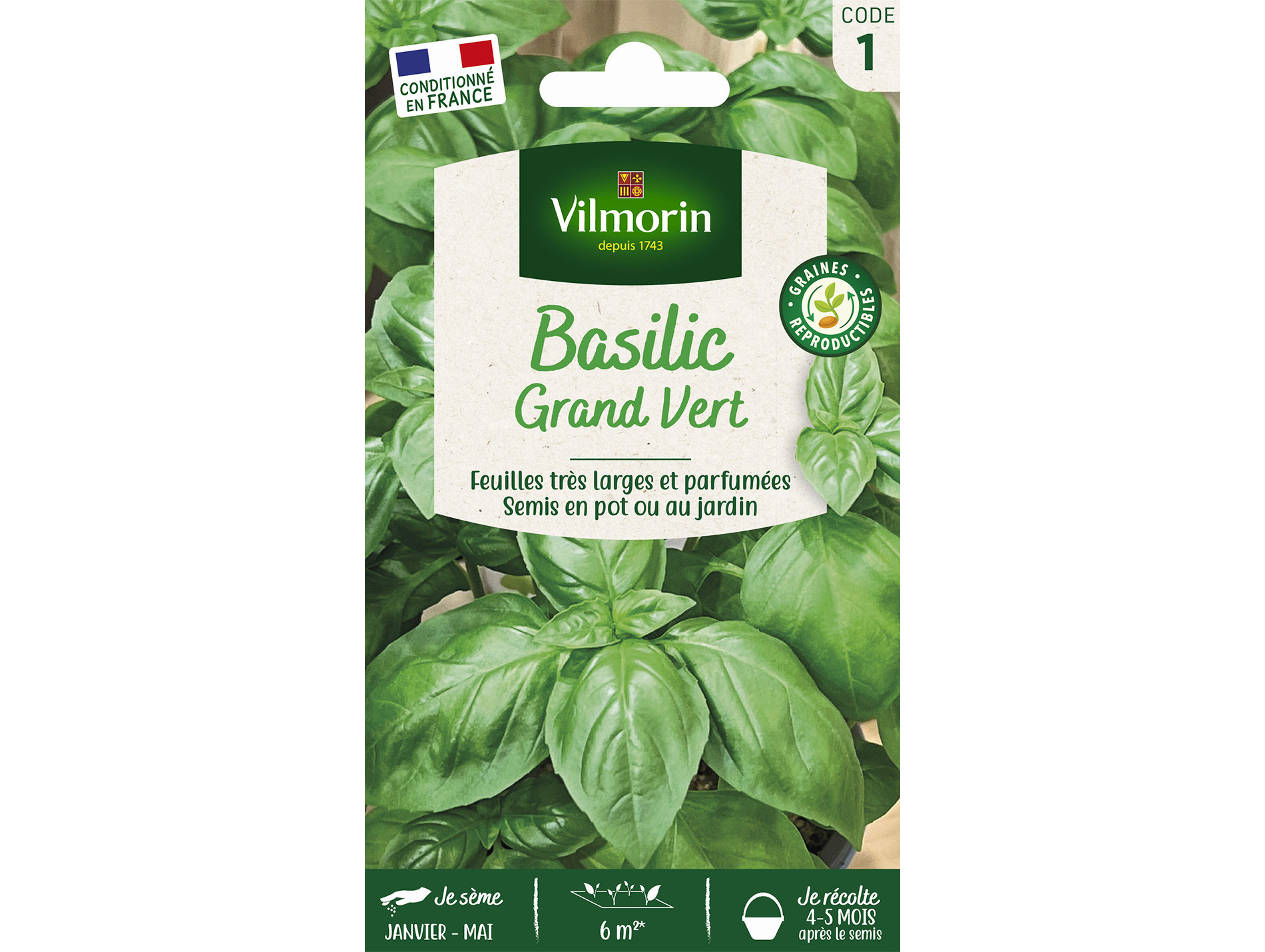 Basilic grand vert VILMORIN Série 3