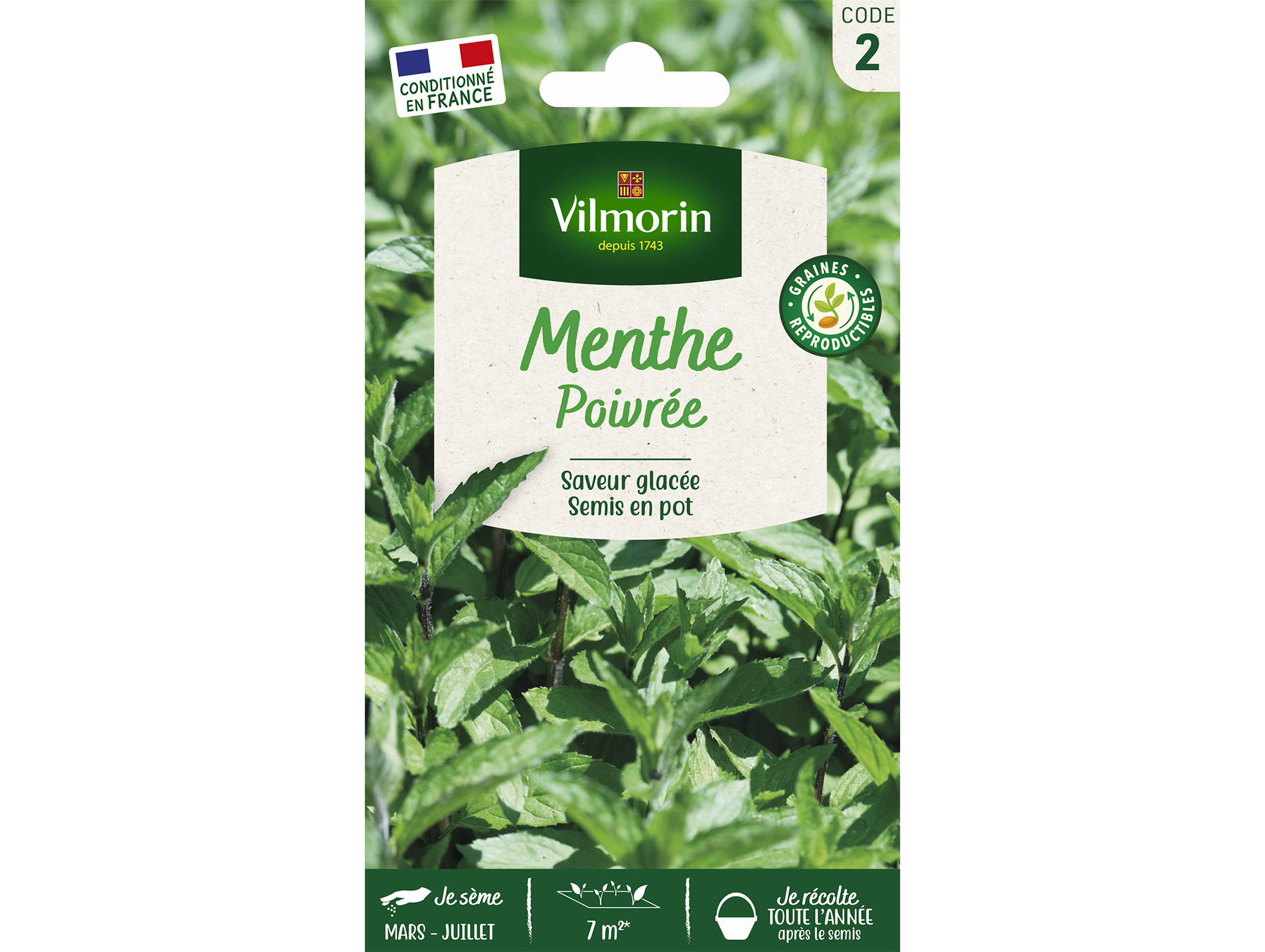 Menthe poivrée VILMORIN Série 2