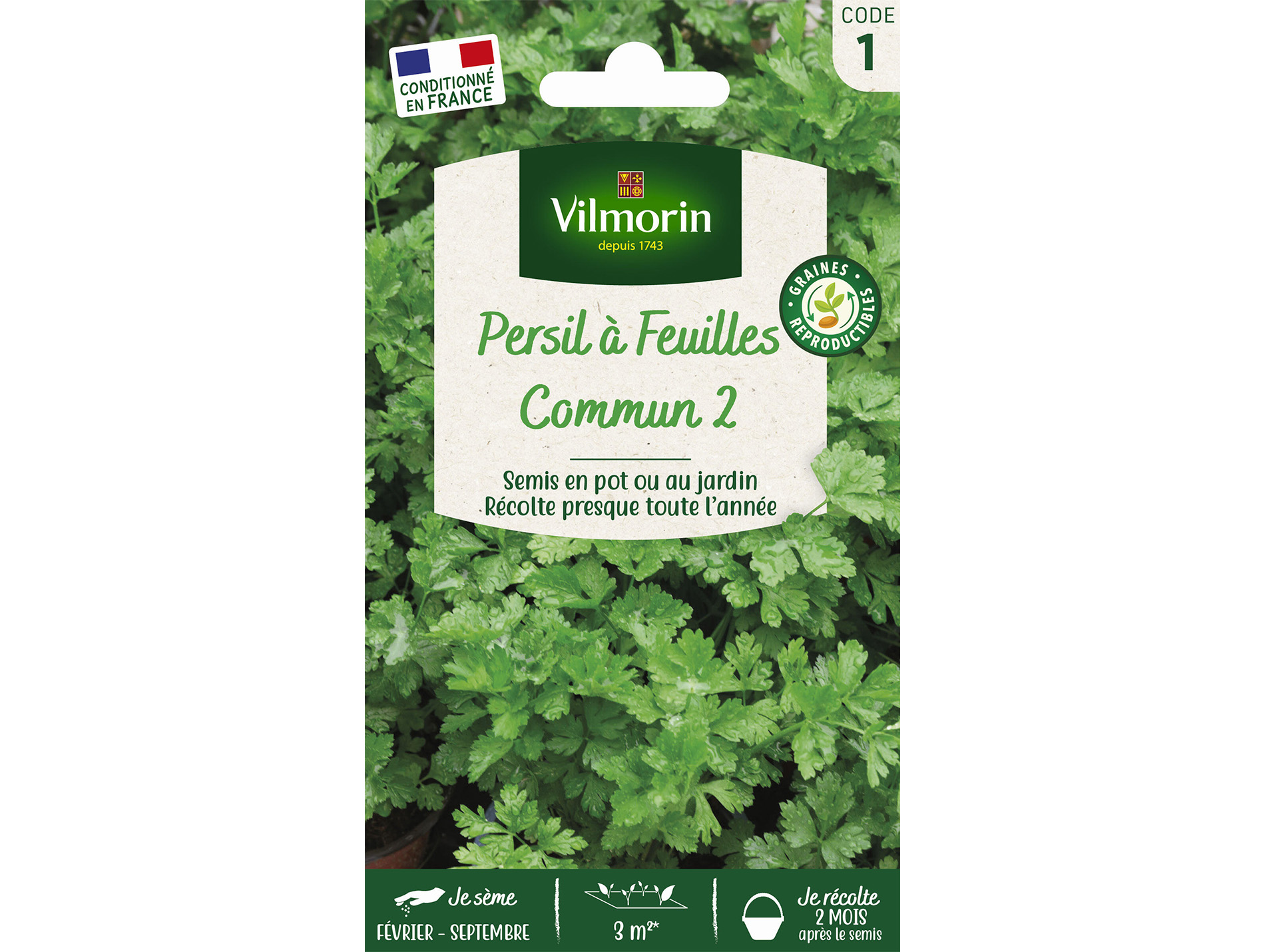 Persil Commun 2 VILMORIN Série 1