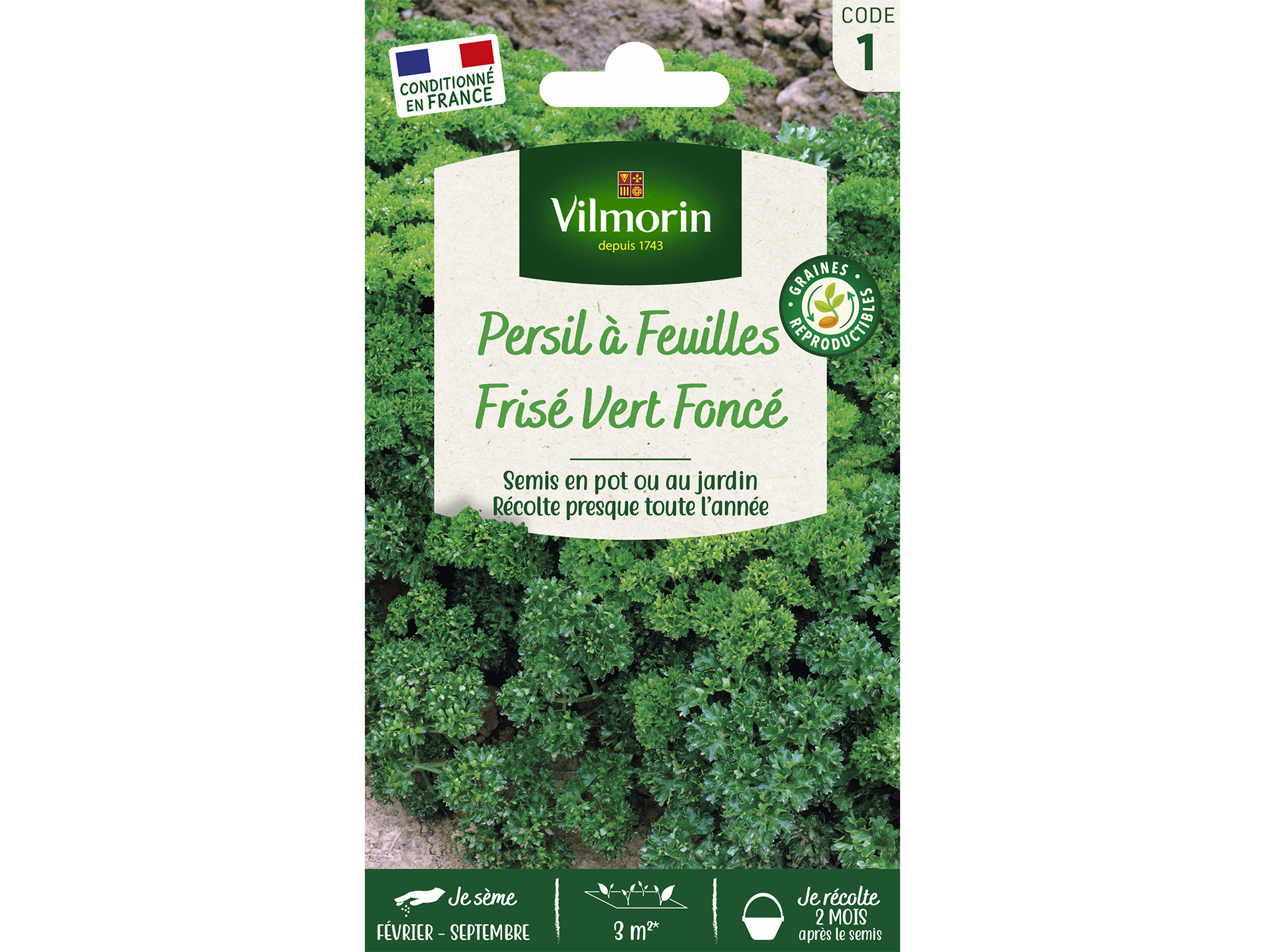 Persil Frisé vert foncé VILMORIN Série 1