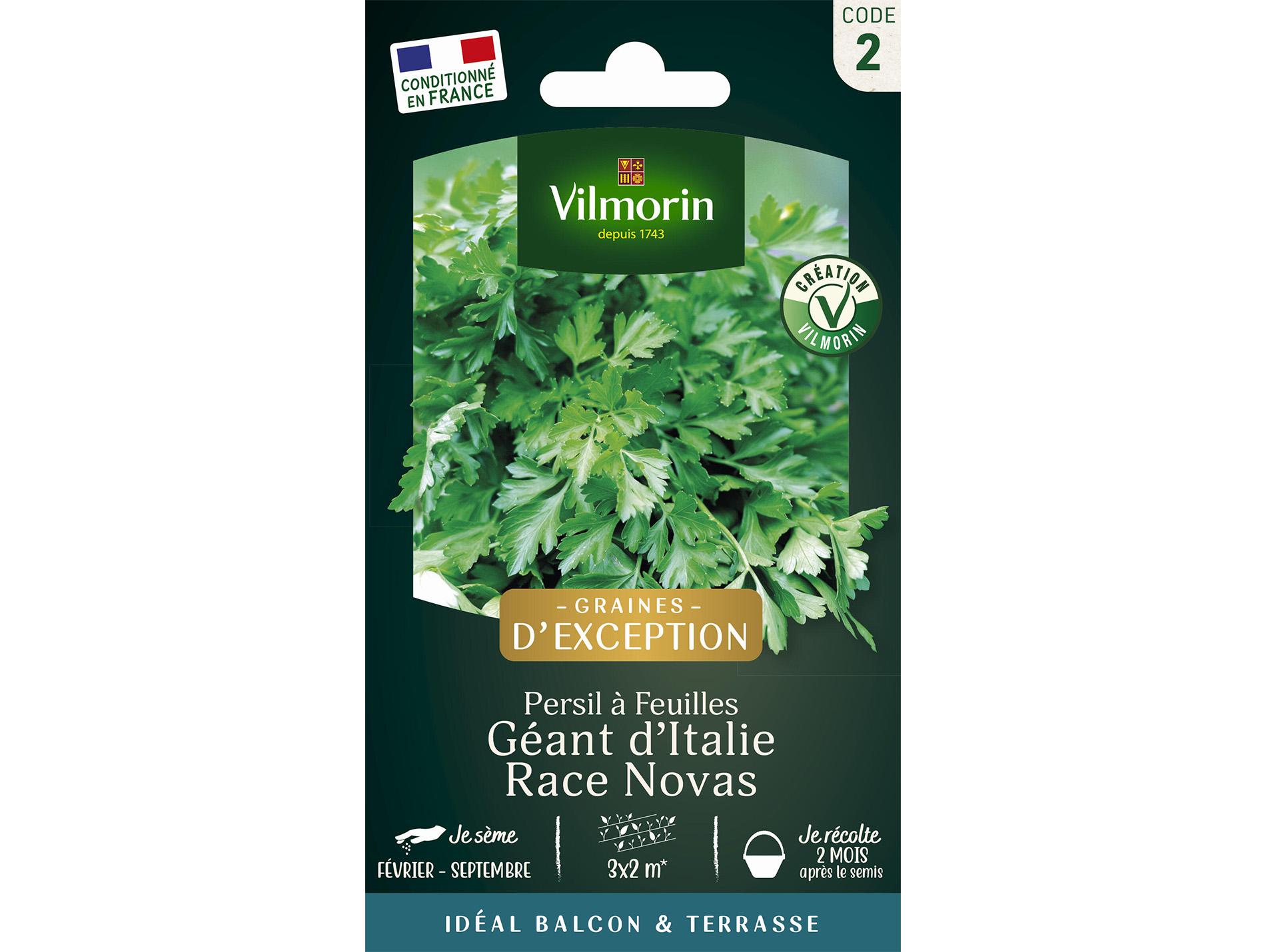 Persil géant d'Italie Race Novas VILMORIN Série 2