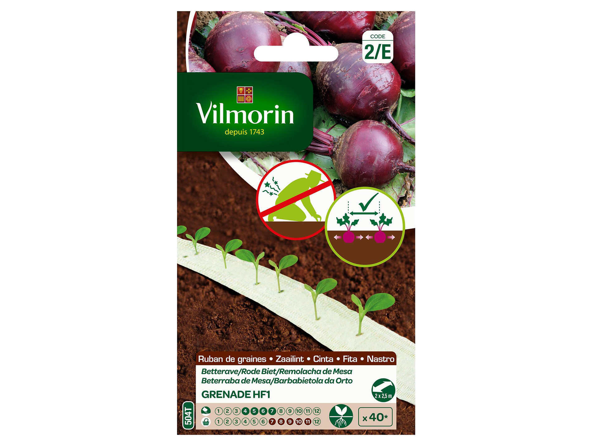 Ruban de betterave Grenade HF1 VILMORIN Série 2 5M