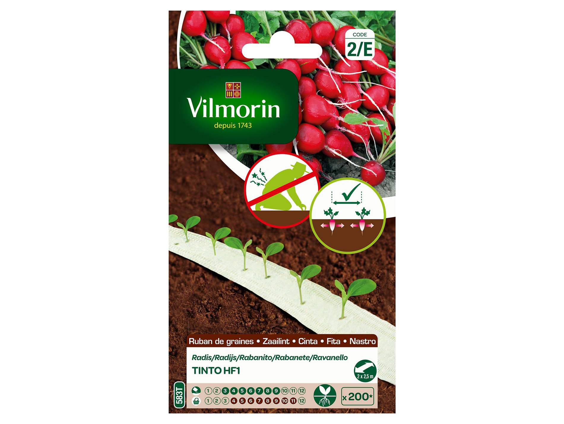 Ruban radis Tinto HF1 VILMORIN Série 2 5M