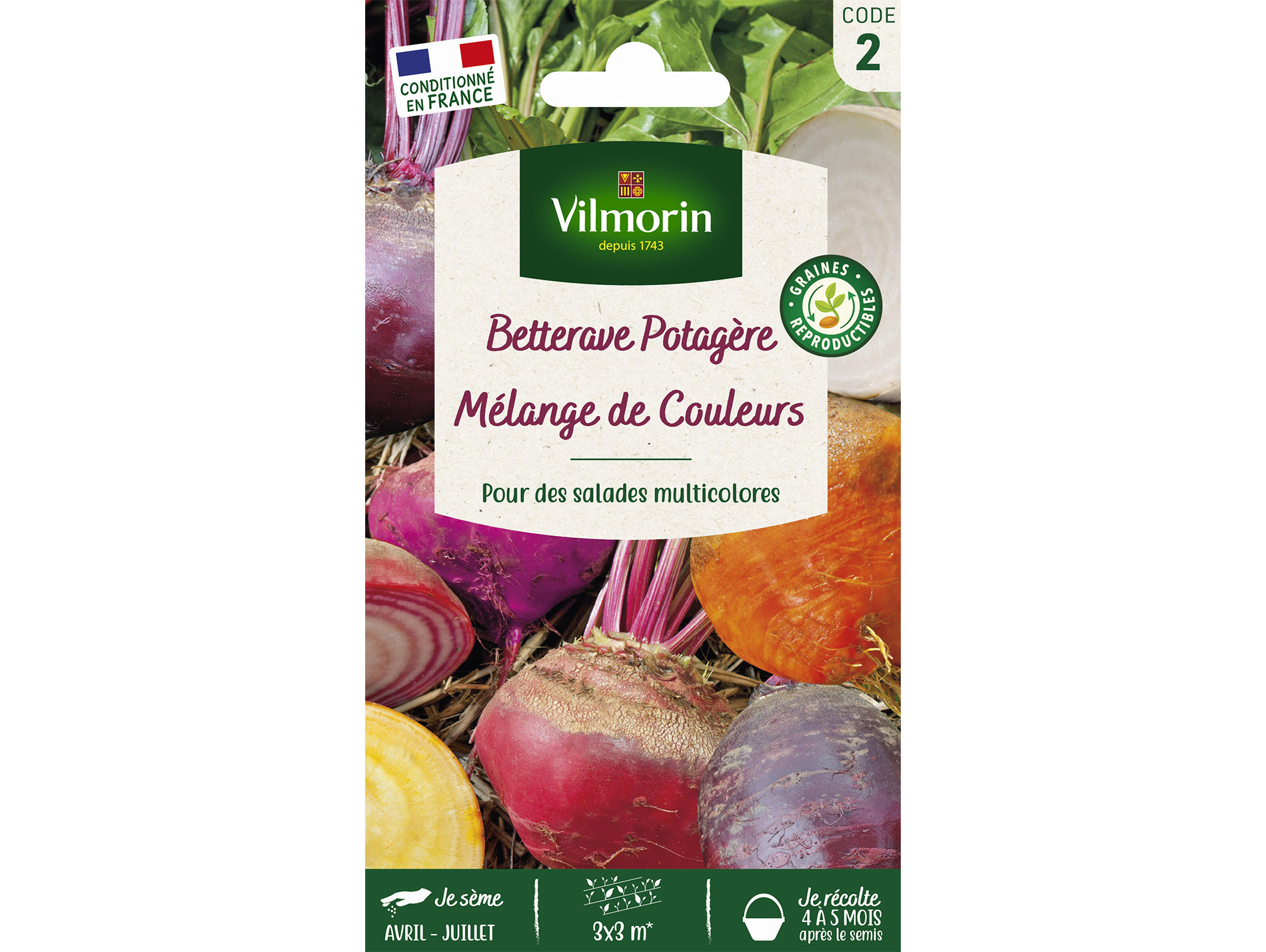 Betterave potagère Arc-en-ciel VILMORIN Série 2