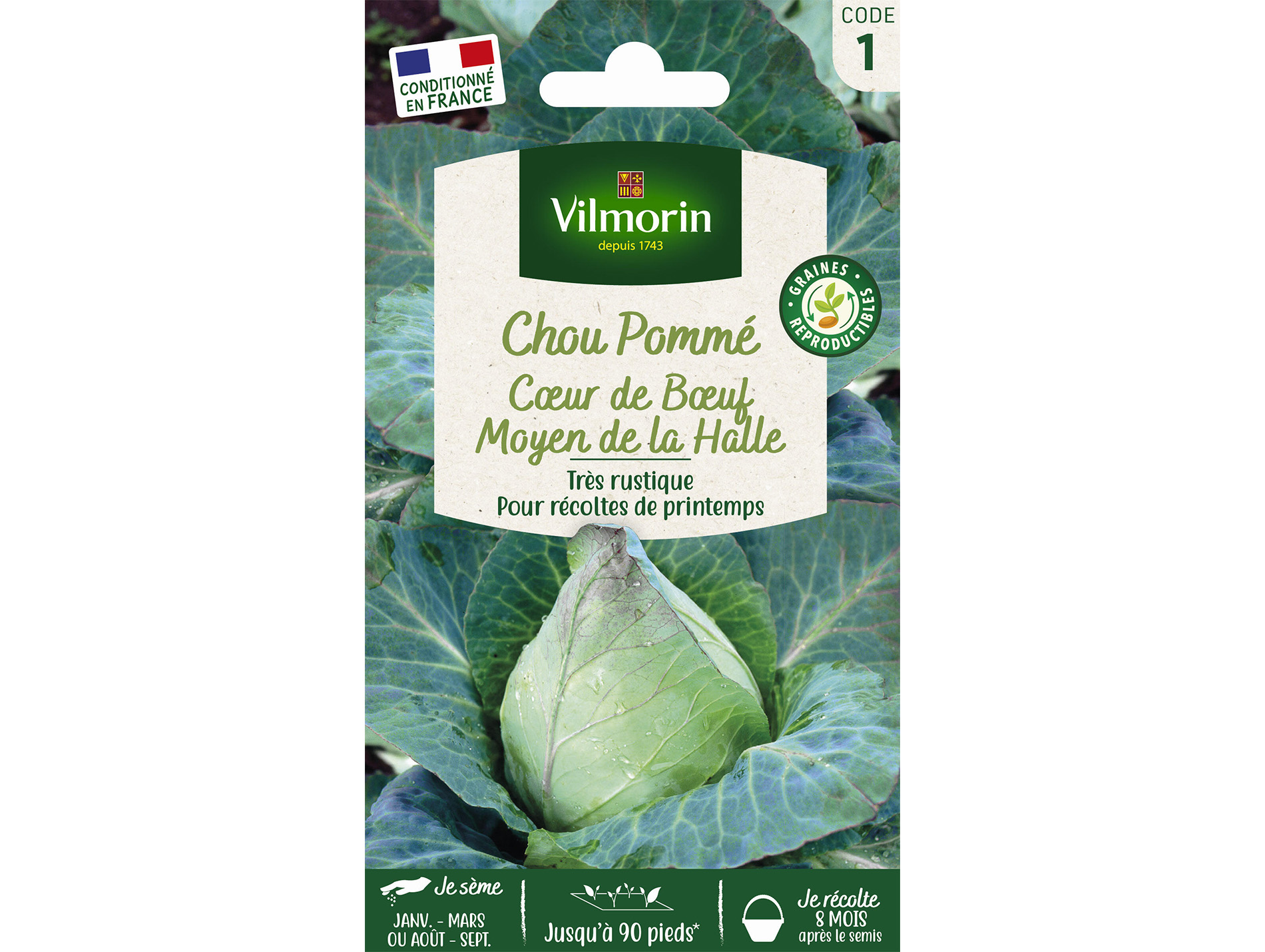 Chou pommé C?ur de B?uf moyen de la Halle VILMORIN Série 1