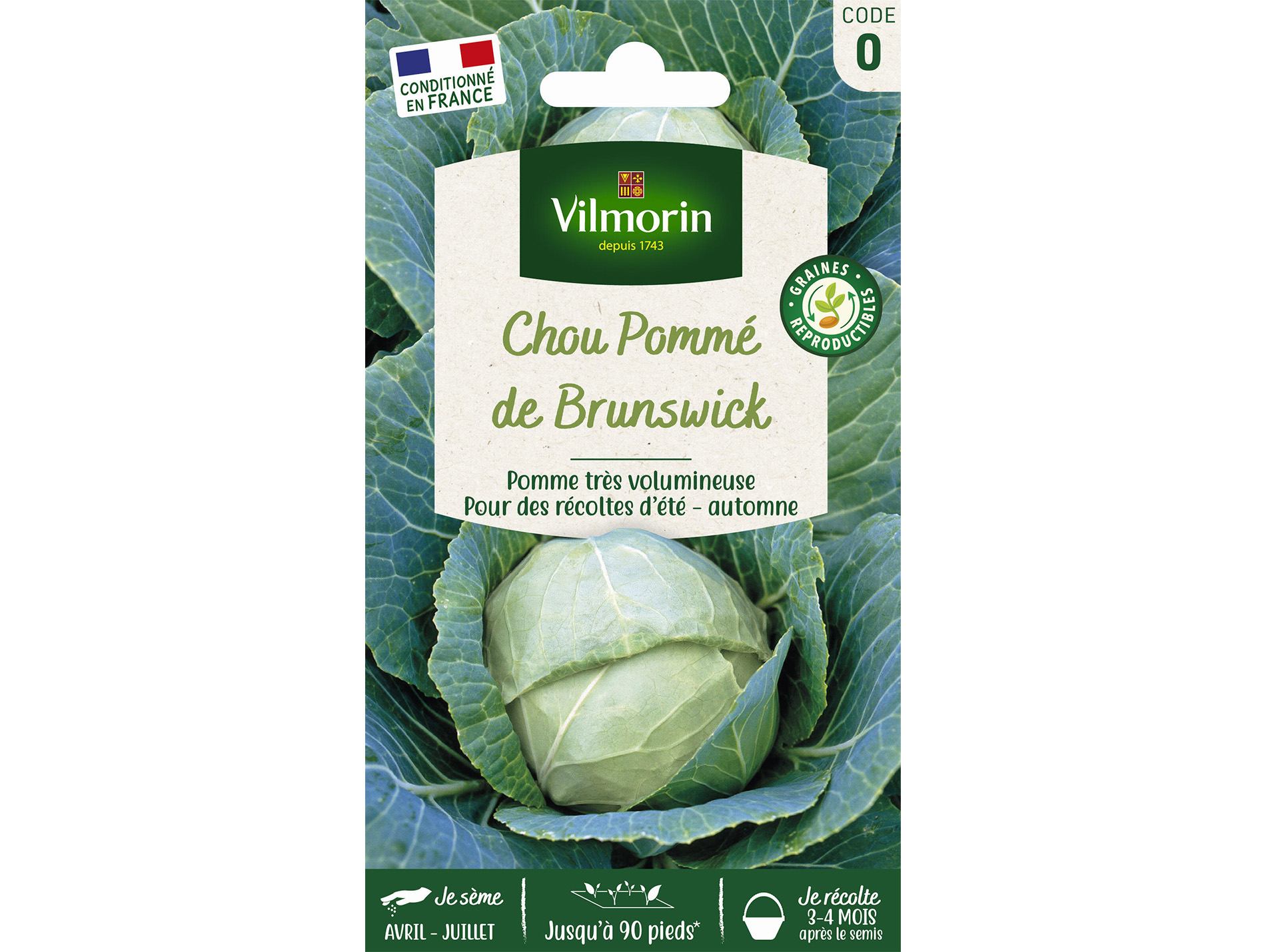 Chou blanc de Brunswick VILMORIN Série 0