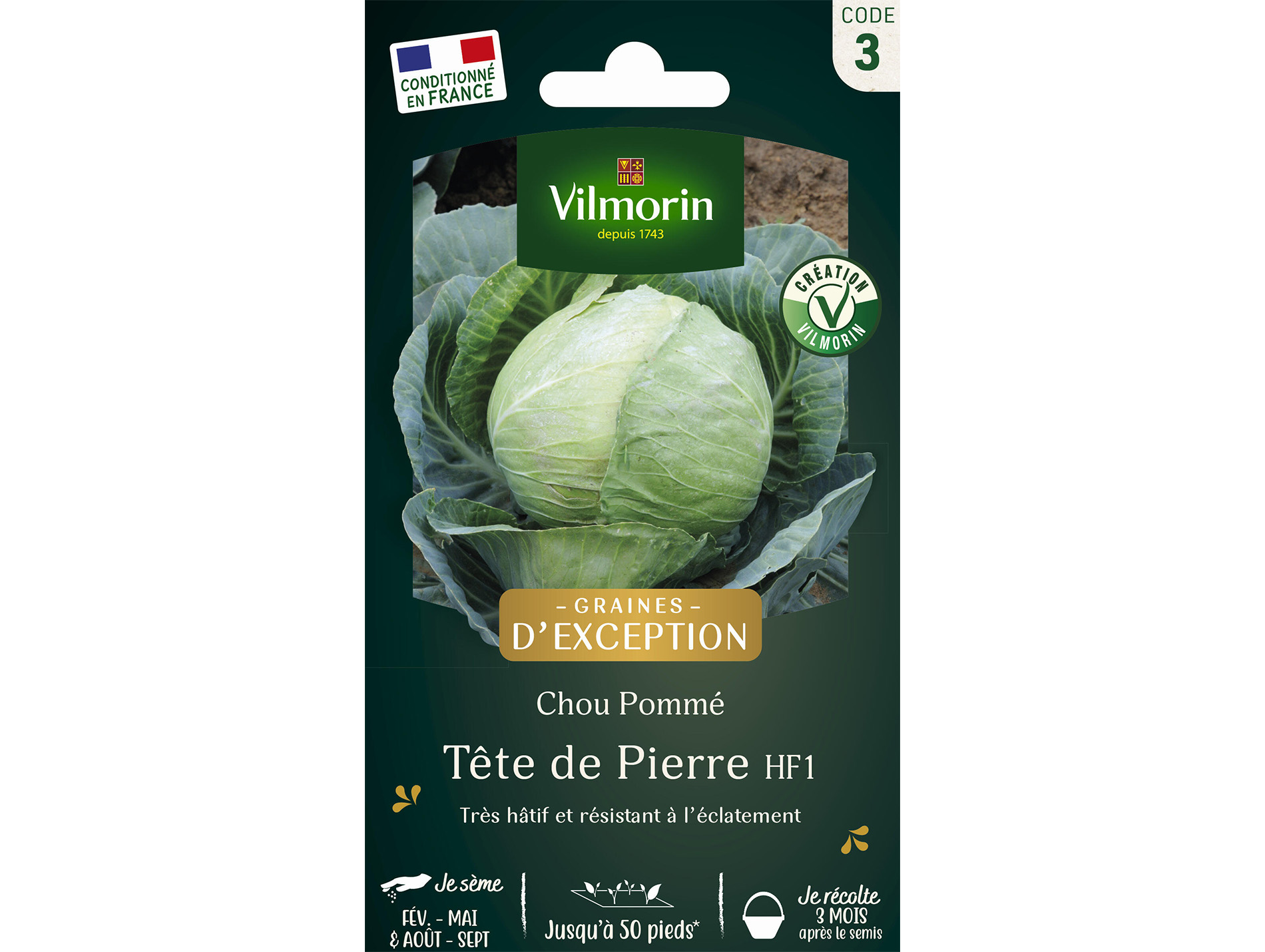 Chou blanc Tête de Pierre HF1 VILMORIN Série 3