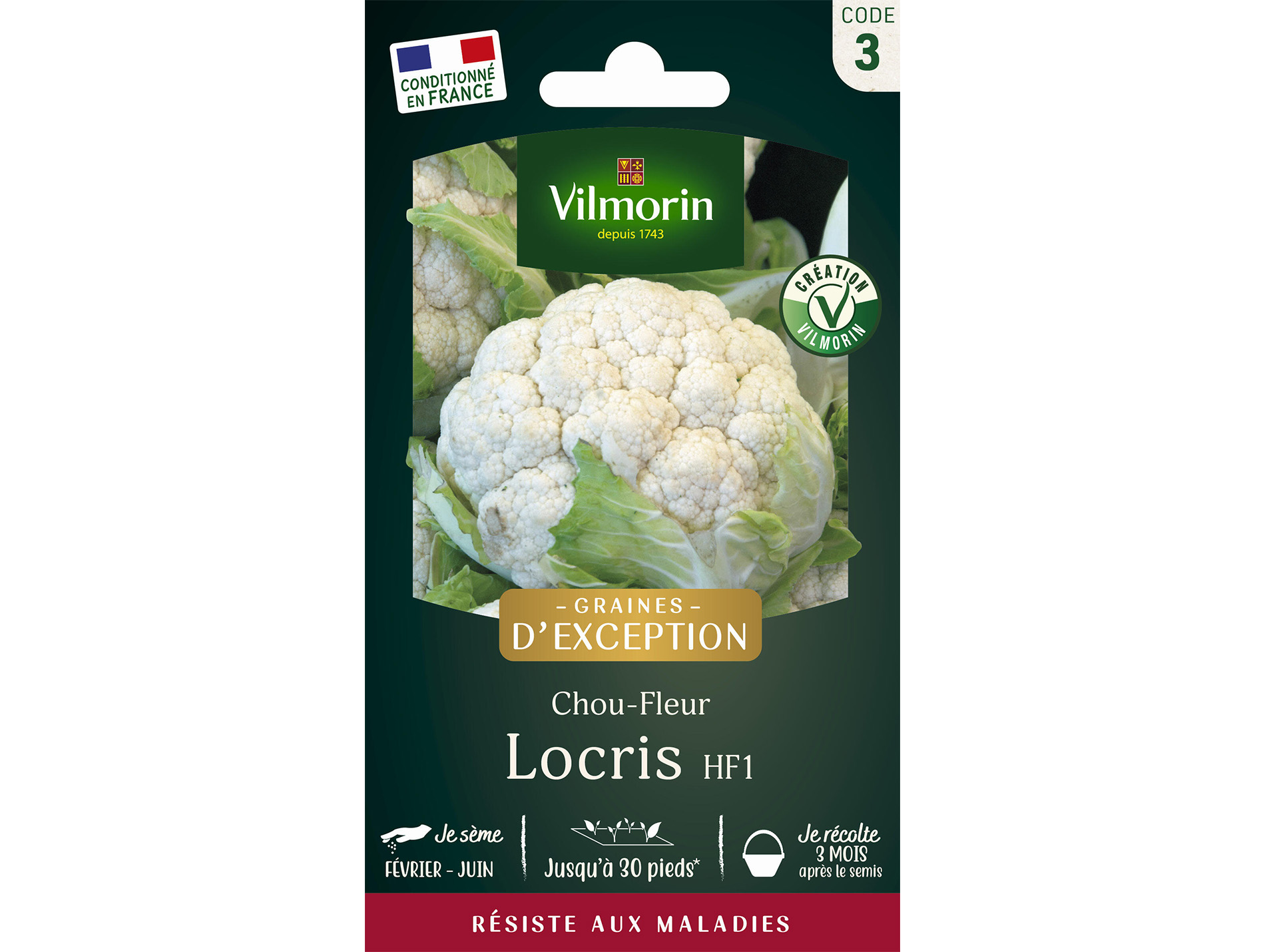 Chou-fleur Locris HF1 VILMORIN Série 3