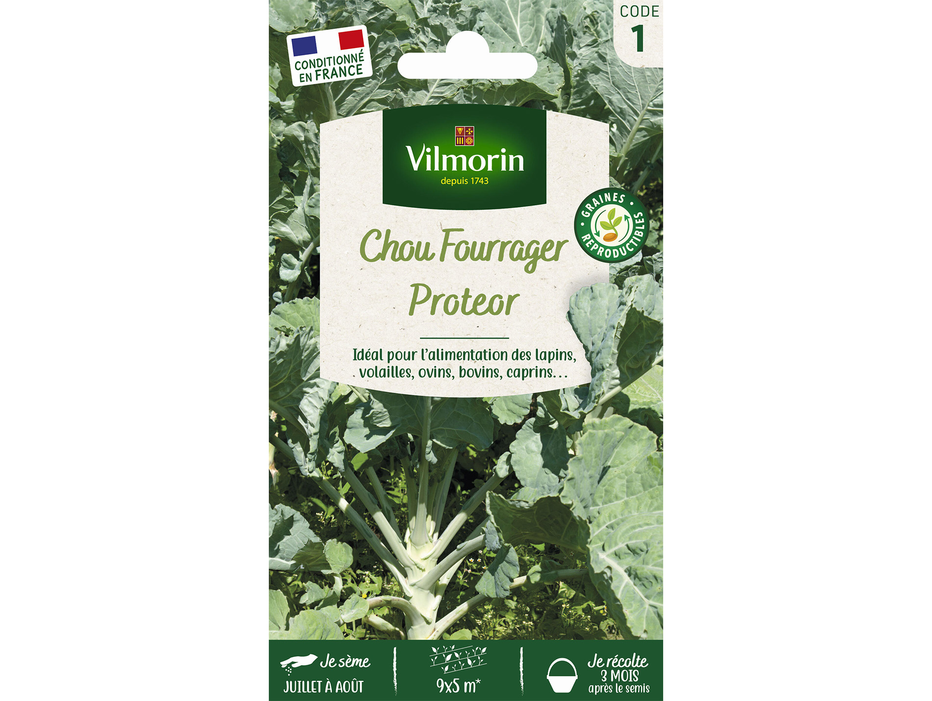 Chou Fourrager Protéor VILMORIN Série 1