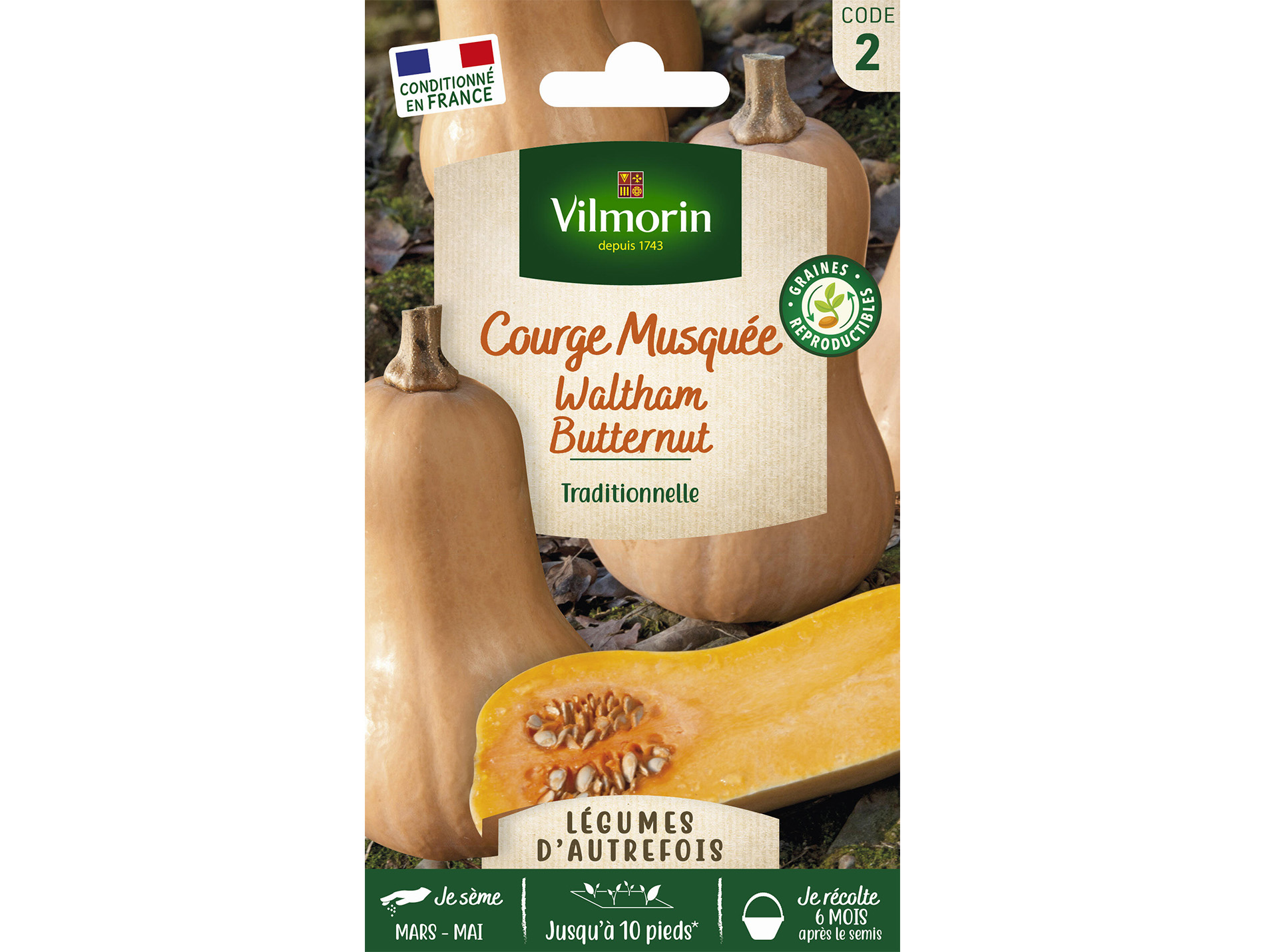 Courge musquée Waltham Butternut VILMORIN Série 2