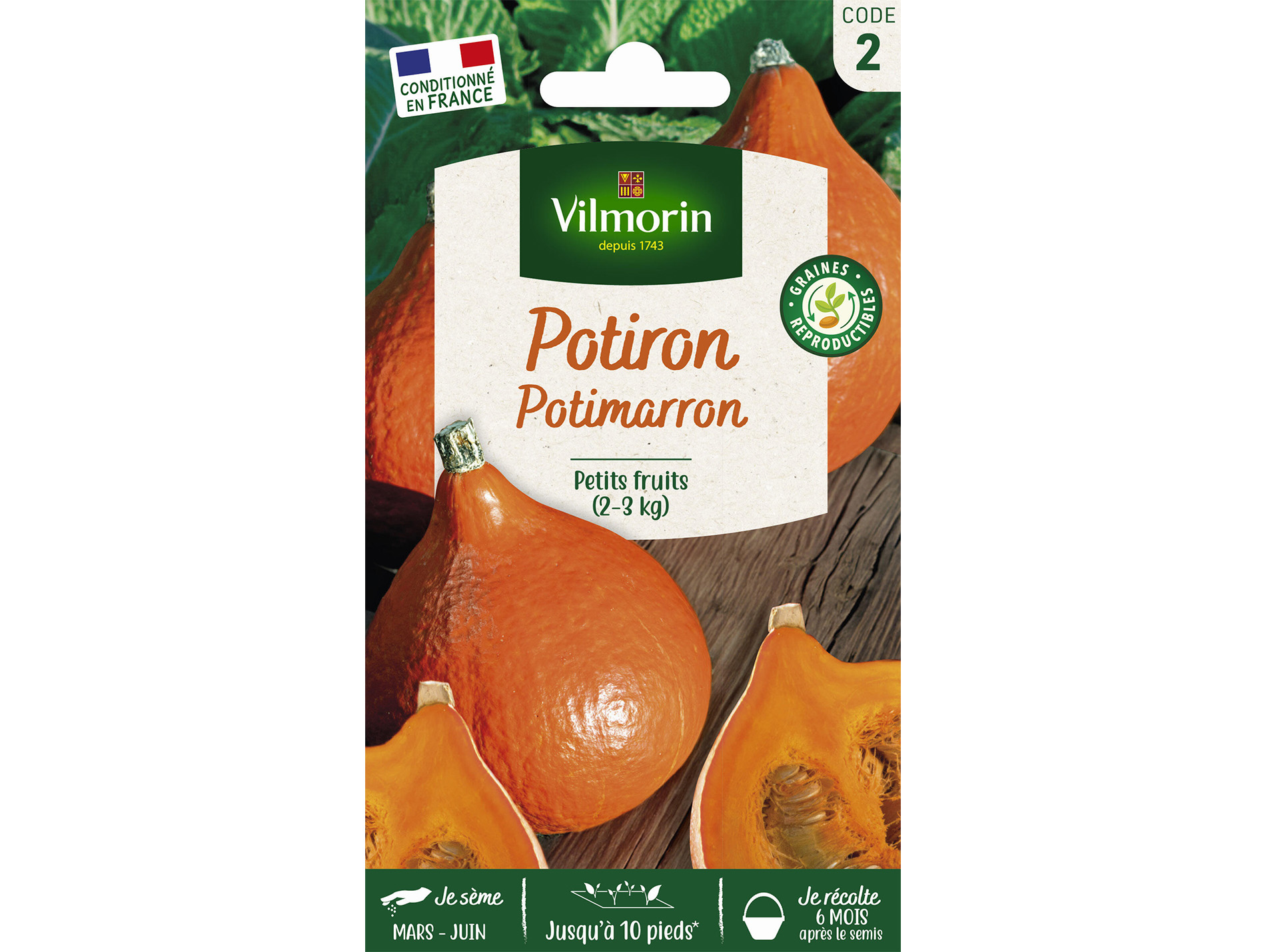 Potiron Potimarron VILMORIN Série 2