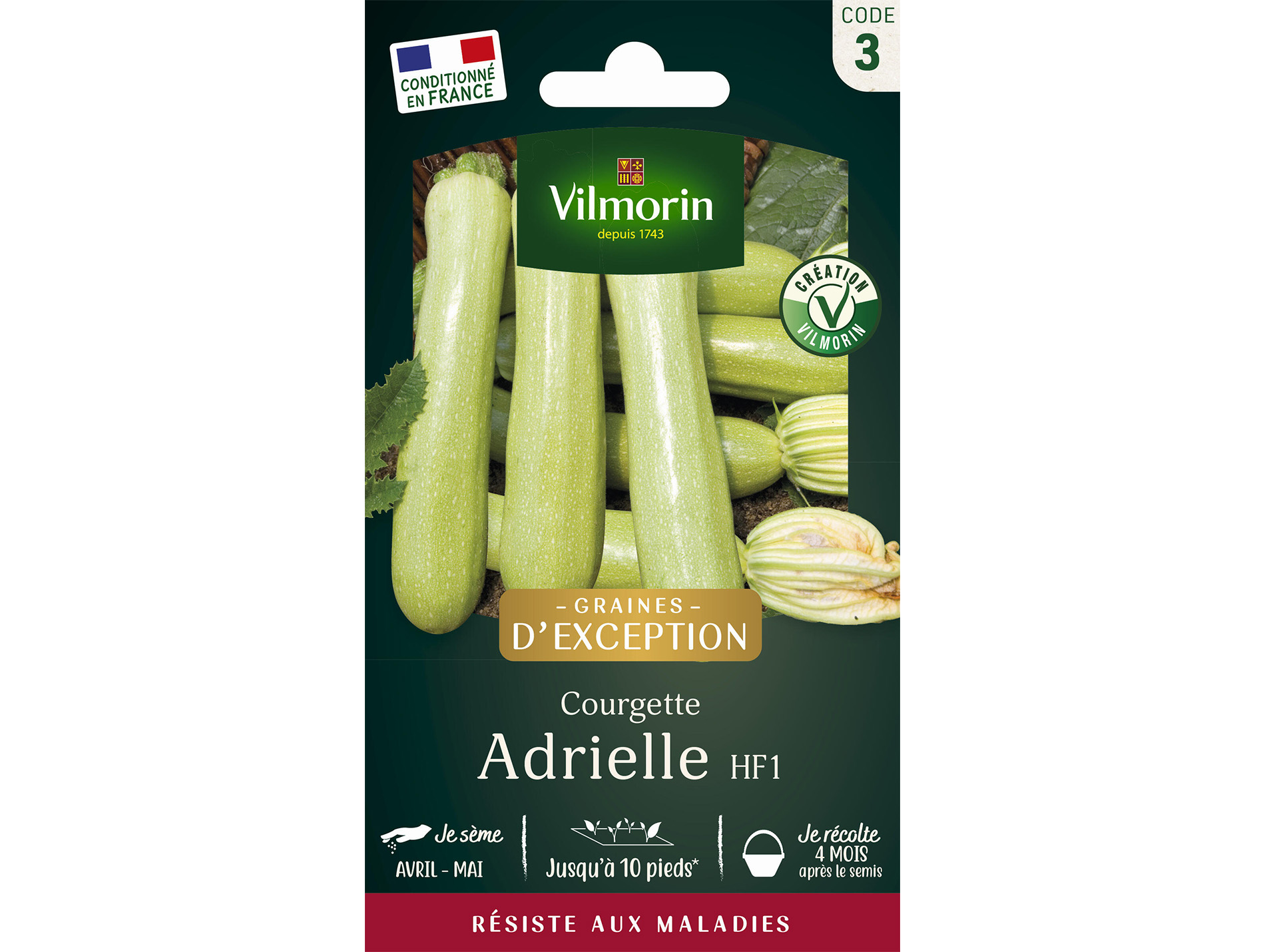 Courgette Adrielle HF1 VILMORIN Série 3