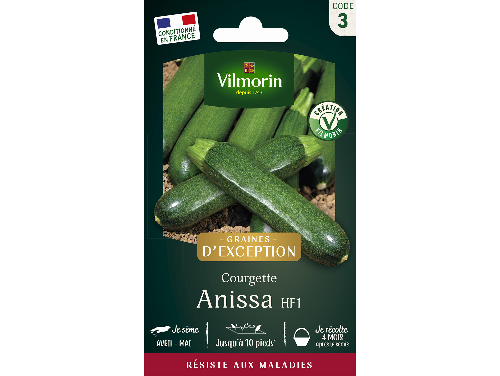 Courgette Anissa HF1 VILMORIN Série 3