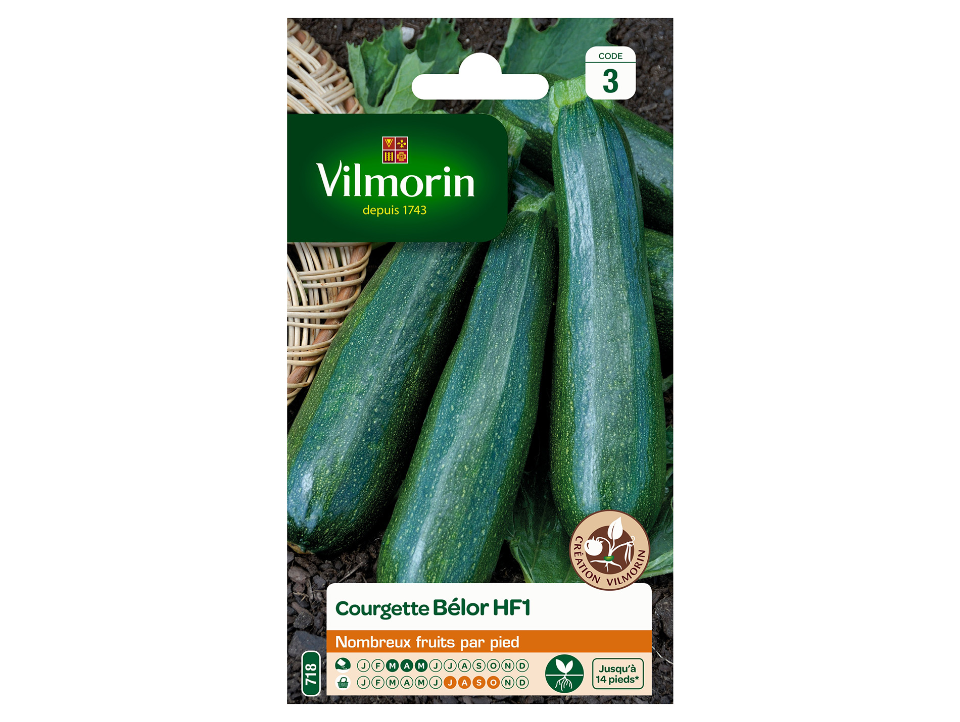Courgette Belor HF1 VILMORIN Série 3