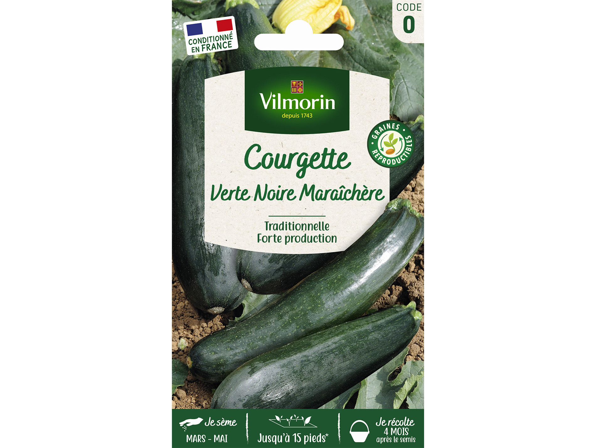 Courgette verte noire Maraîchère VILMORIN Série 0