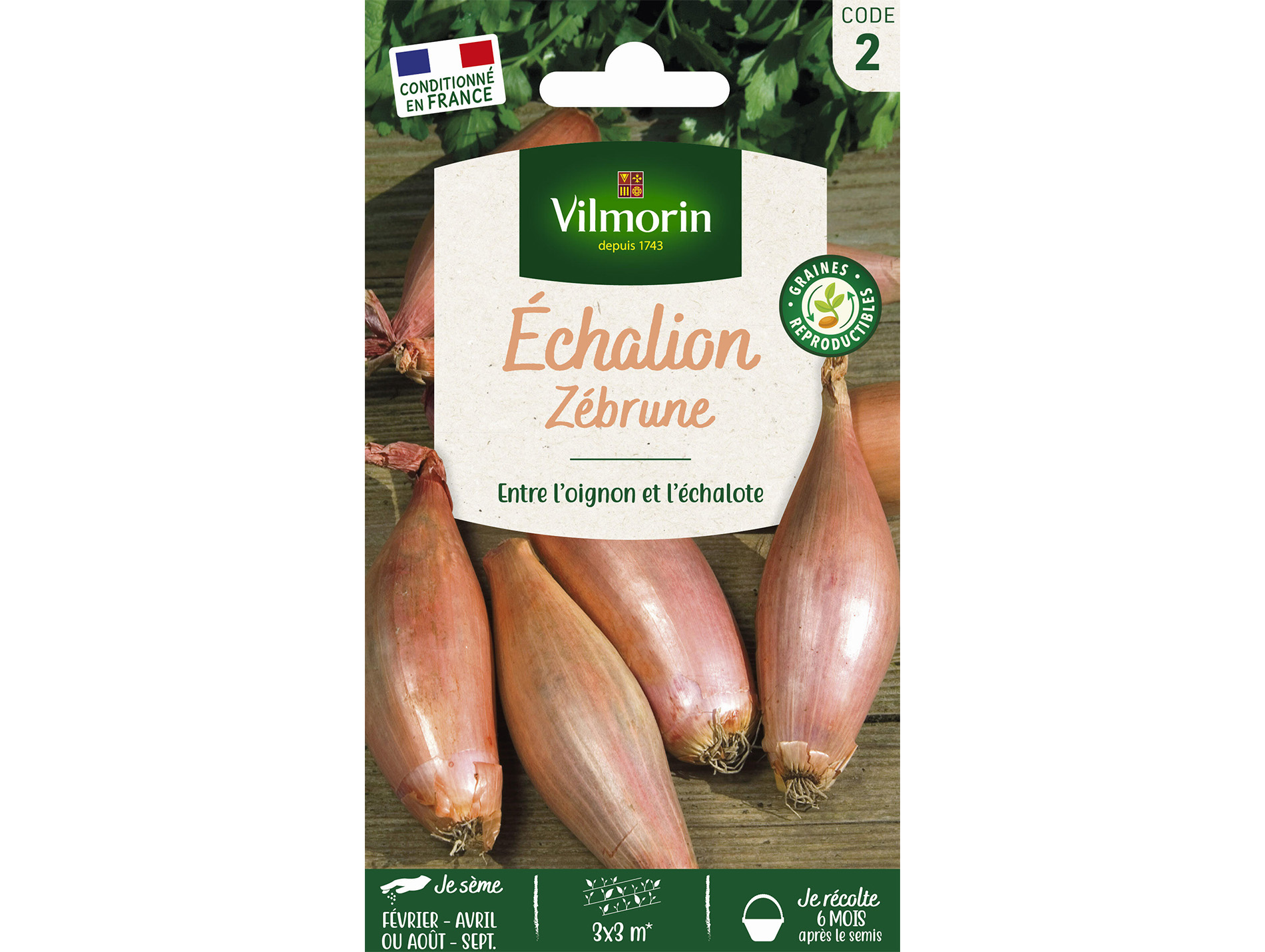 Echalion Zébrune VILMORIN Série 2