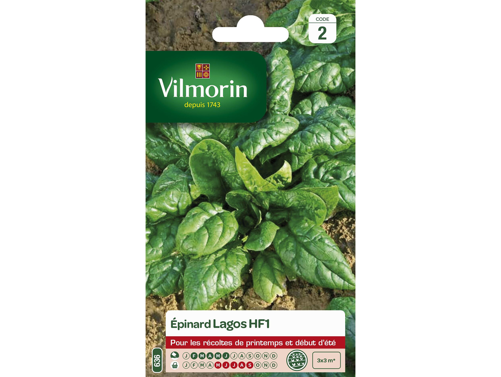 Epinard Lagos HF1 VILMORIN Série 2