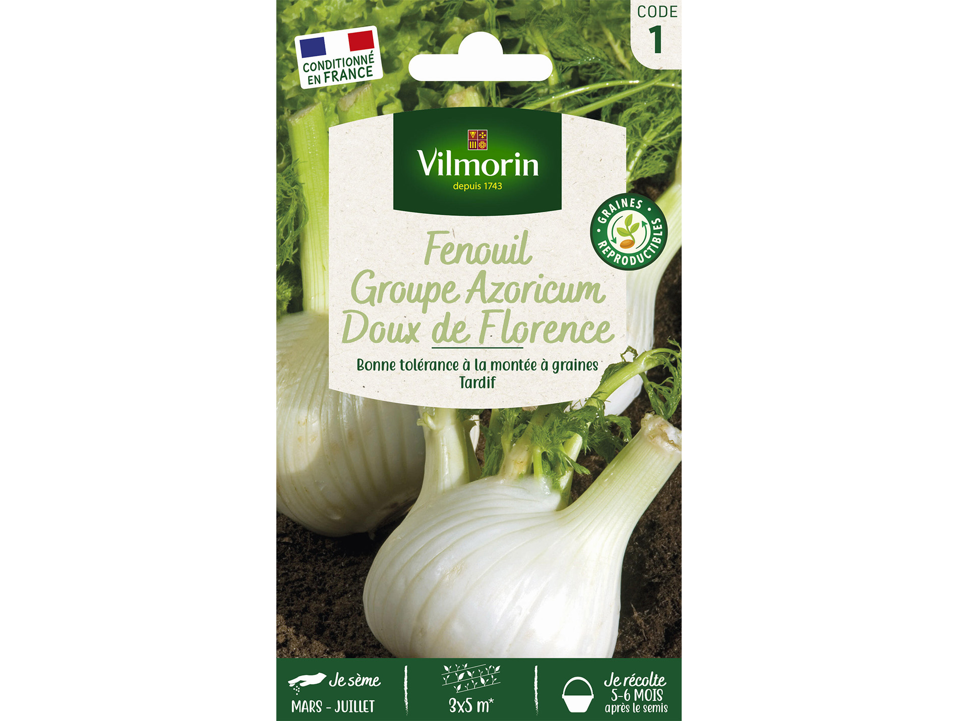 Fenouil Groupe Azoricum Doux de Florence VILMORIN Série 1