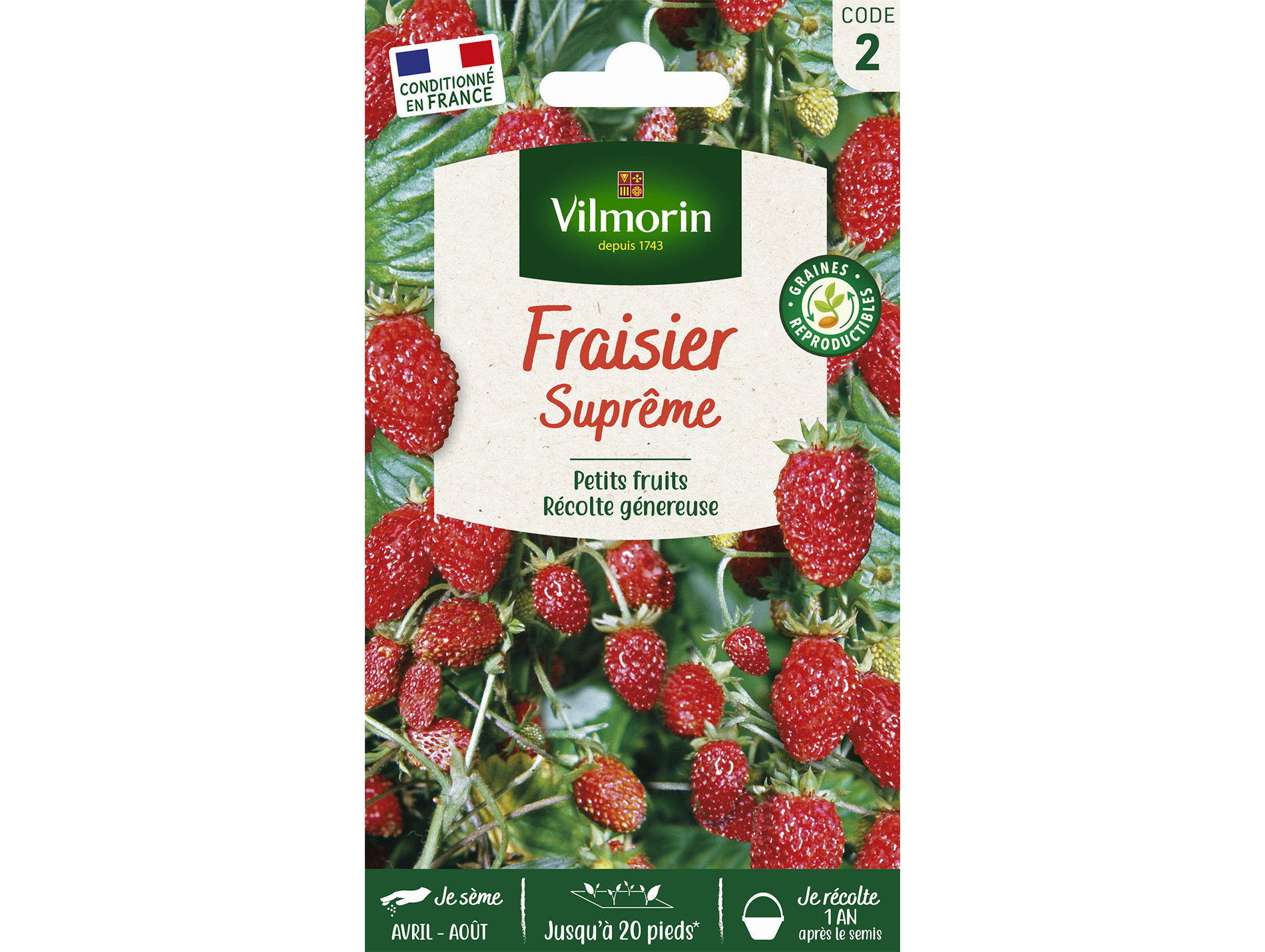 Fraisier Suprême 4 saisons VILMORIN Série 2