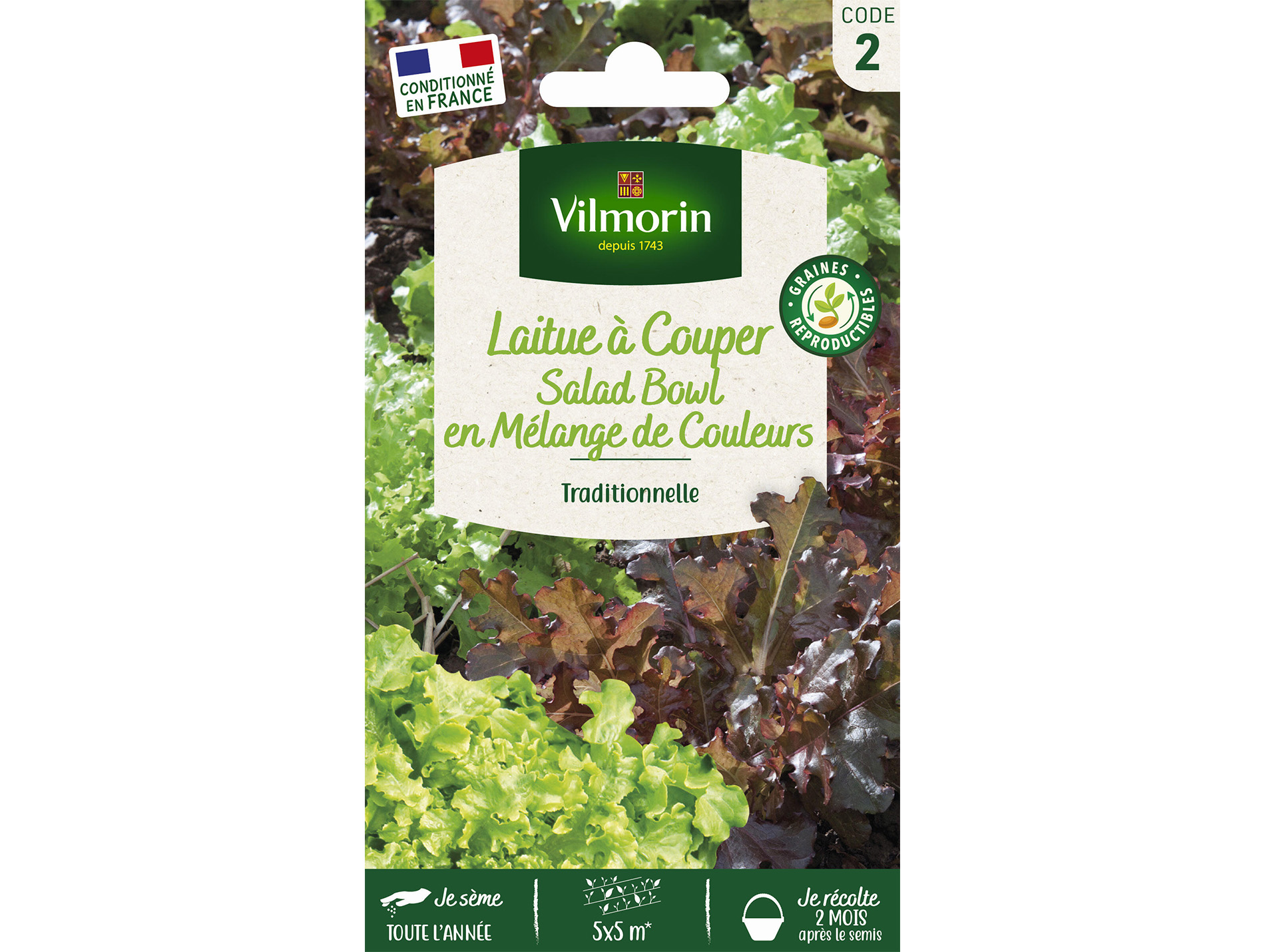 Laitue à couper Salad Bowl Mélange VILMORIN Série 2