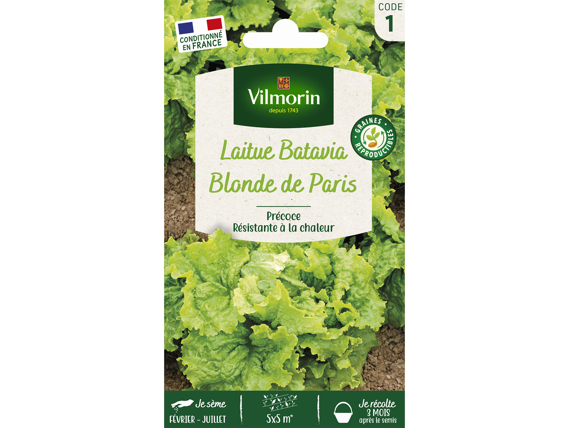Laitue Batavia Blonde de Paris VILMORIN Série 1