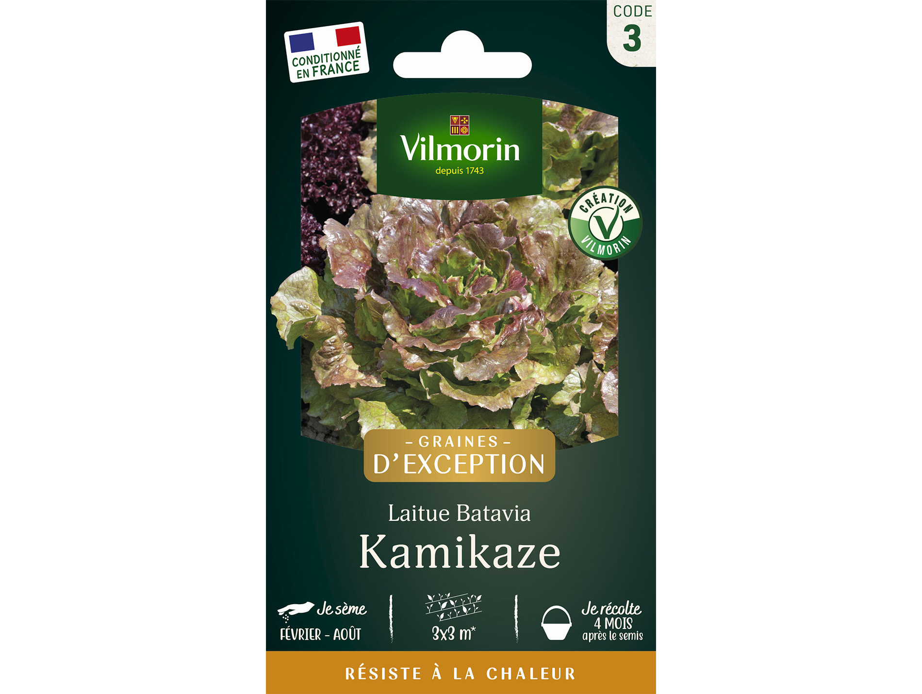 Laitue Batavia Kamikaze VILMORIN Série 3