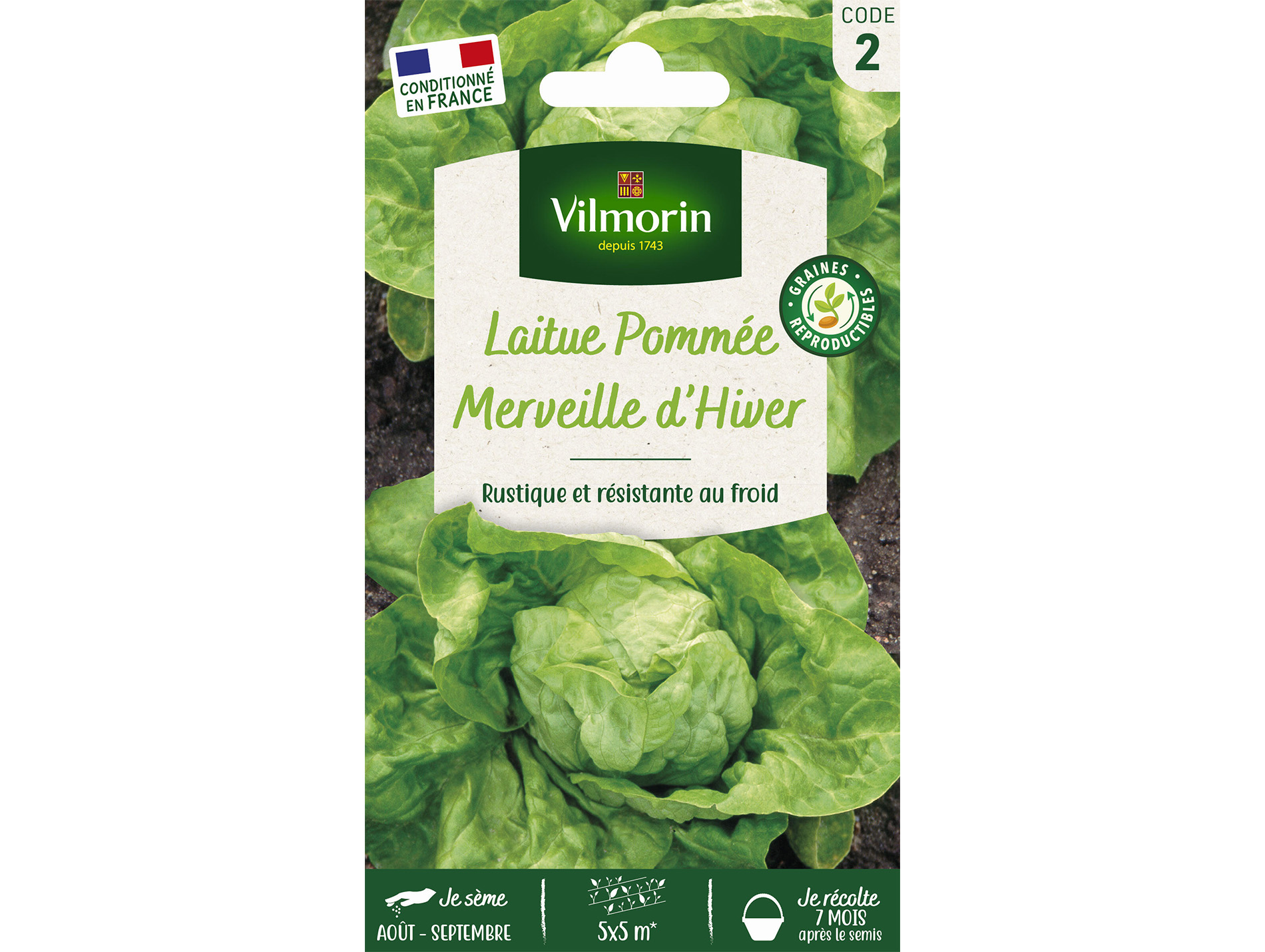 Laitue pommée Brune d'Hiver VILMORIN Série 1