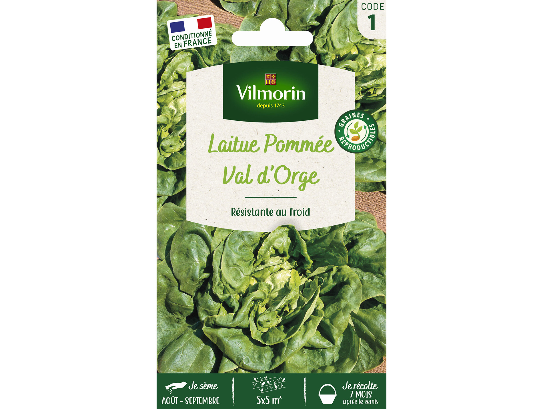 Laitue pommée d'Hiver Val d'Orge VILMORIN Série 1