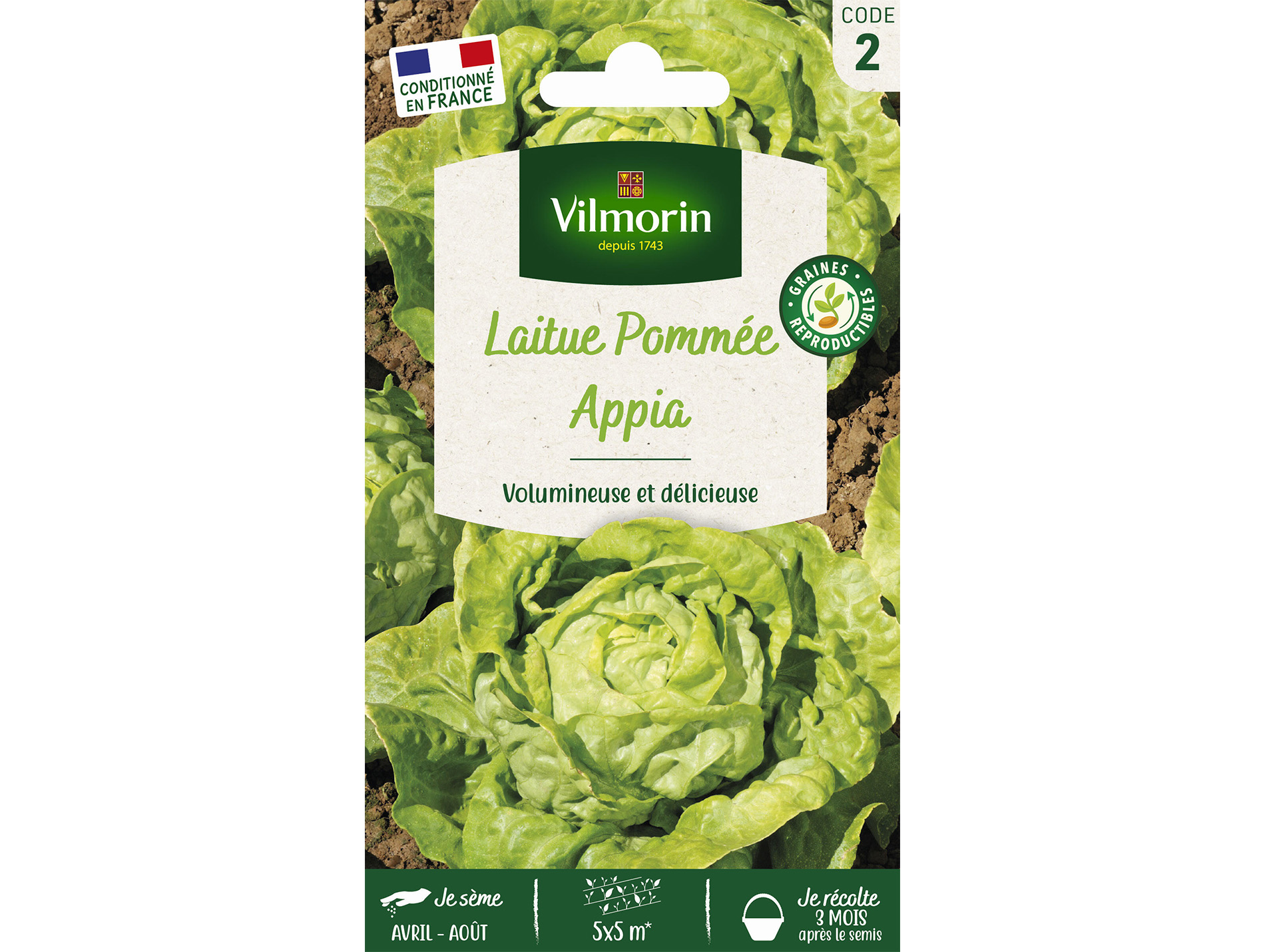 Laitue pommée Appia VILMORIN Série 2