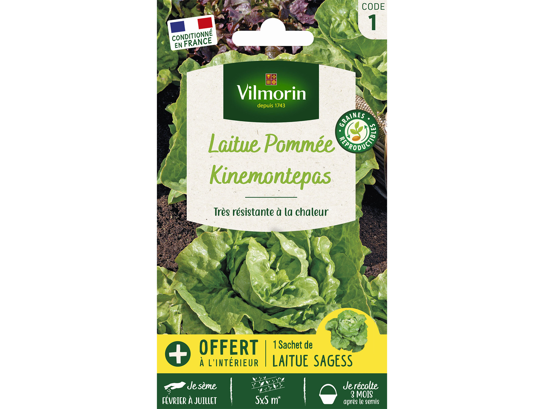 Laitue pommée Kinemontepas VILMORIN Série 1 + échantillon Sagess