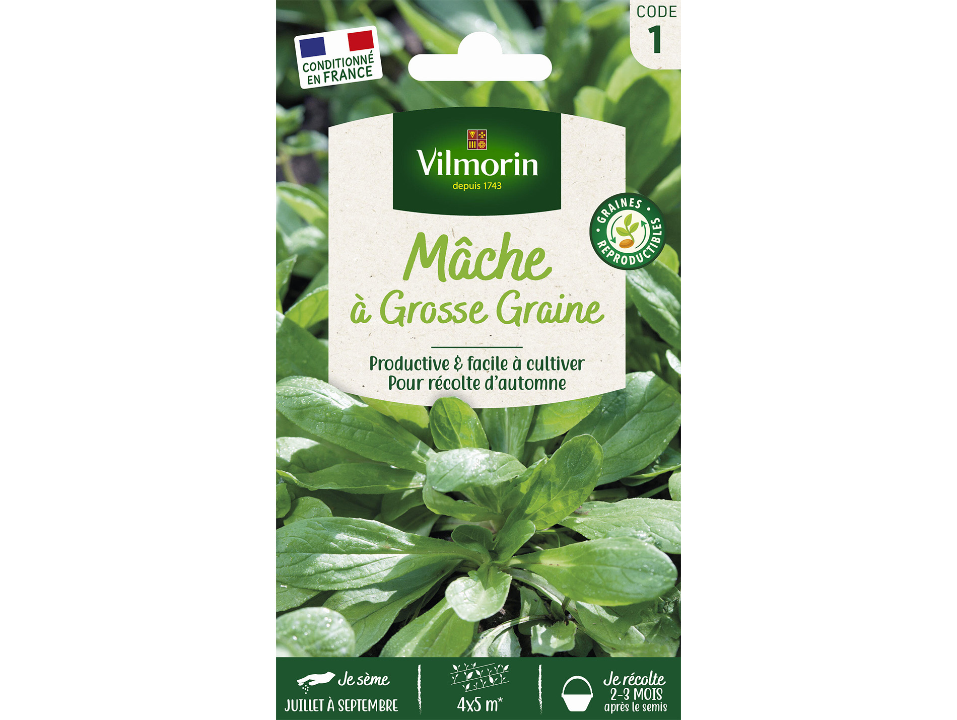 Mâche à Grosse Graine VILMORIN Série 1