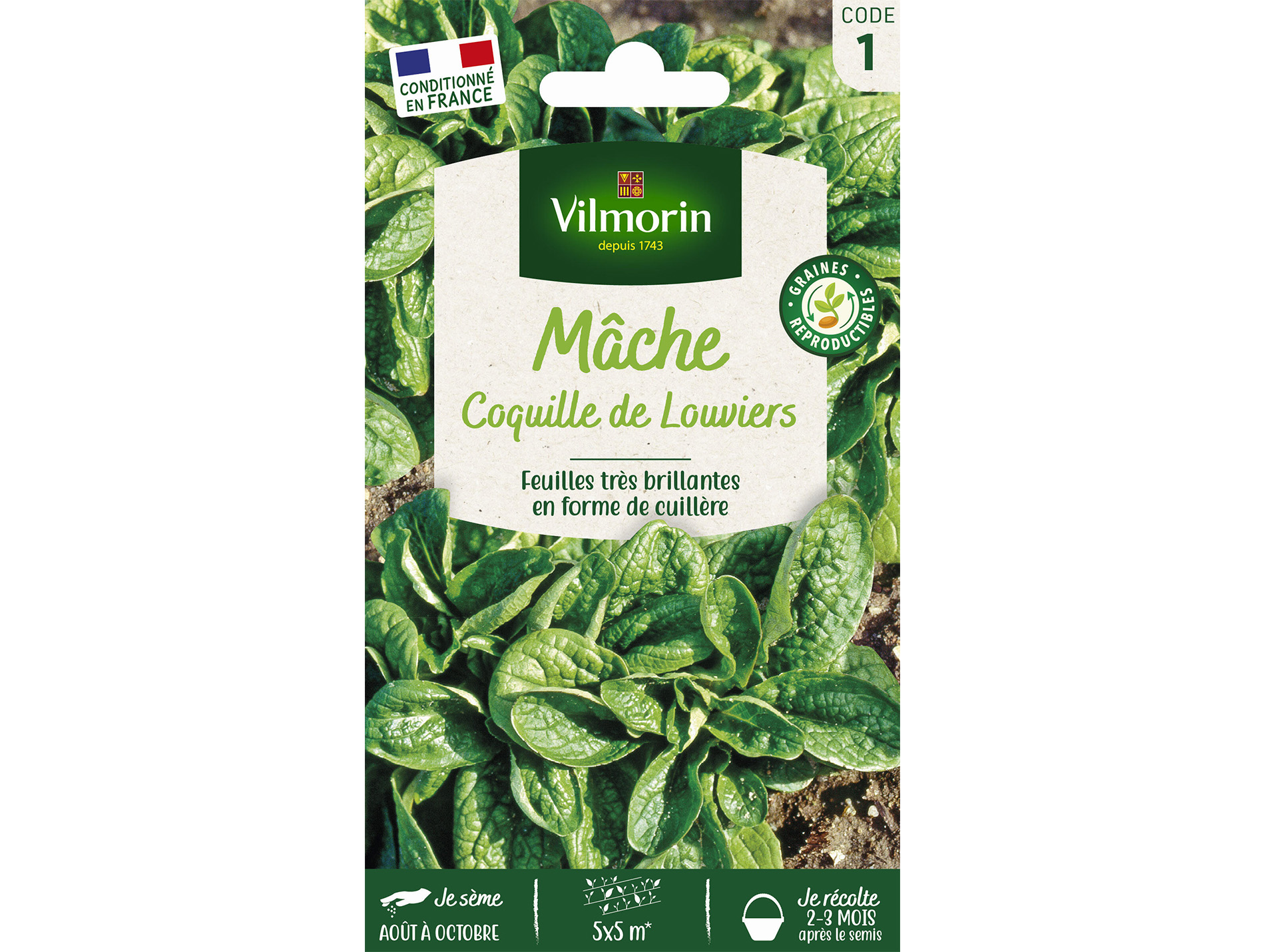 Mâche Coquille de Louviers VILMORIN Série 1