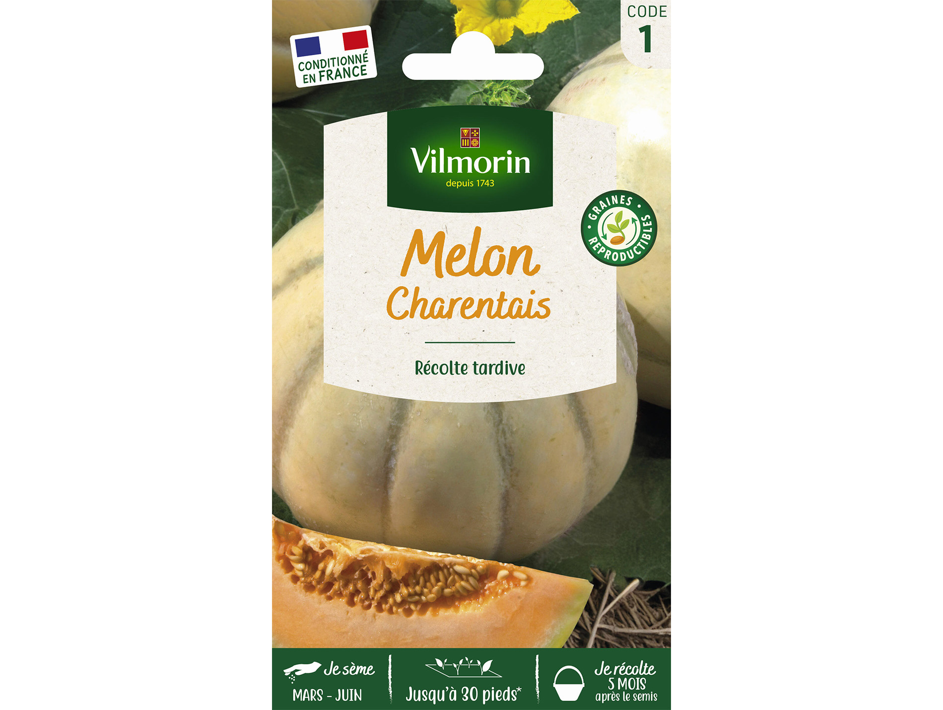 Melon Charentais VILMORIN série 1