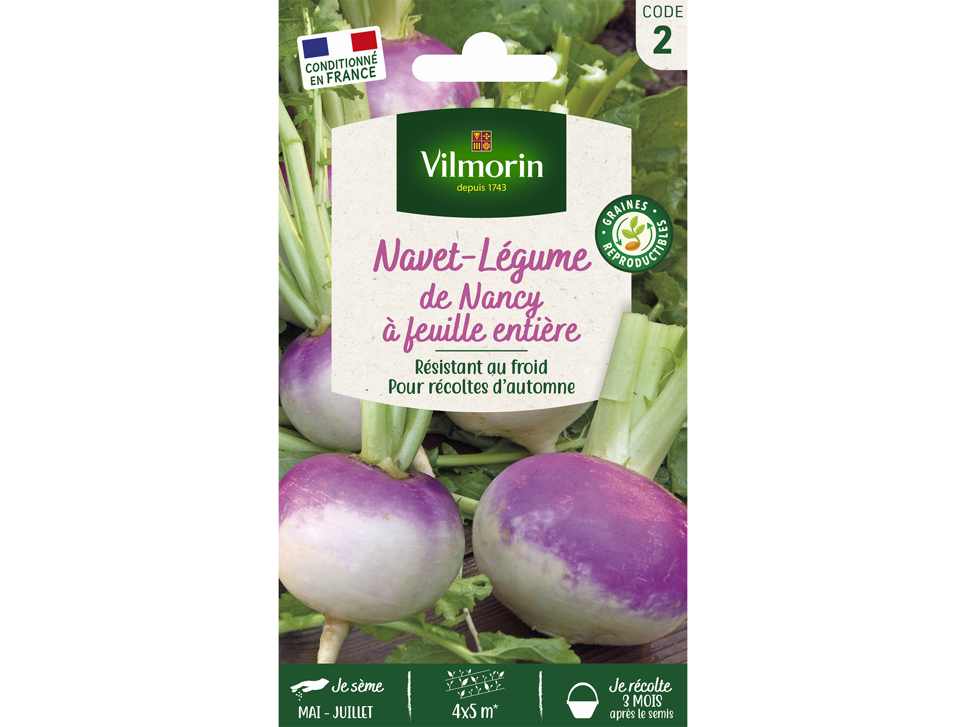 Navet-Légume de Nancy à Feuille Entière VILMORIN Série 2
