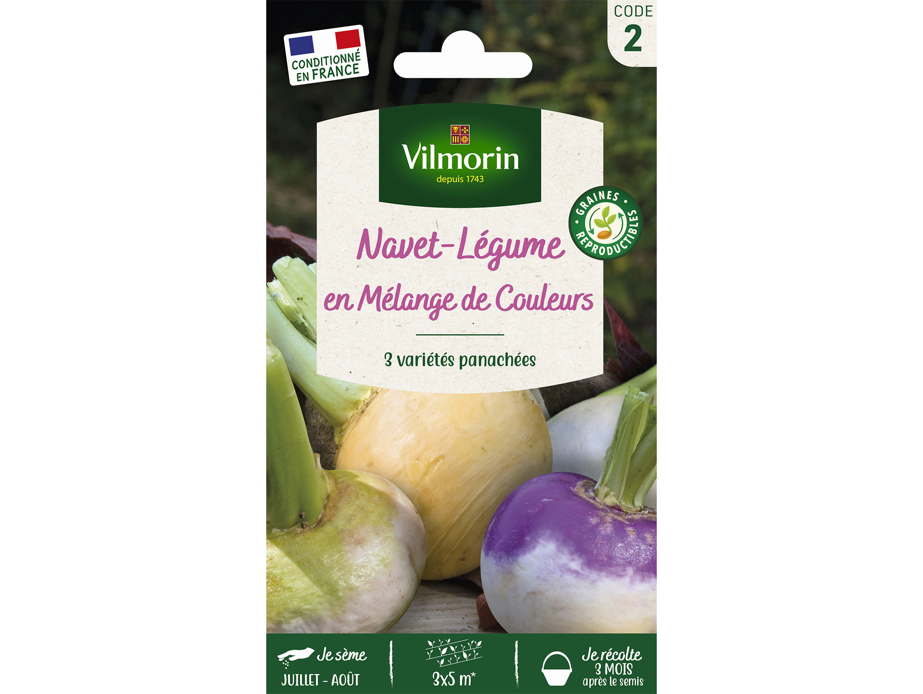 Navet-Légume en Mélange de Couleurs VILMORIN Série 2