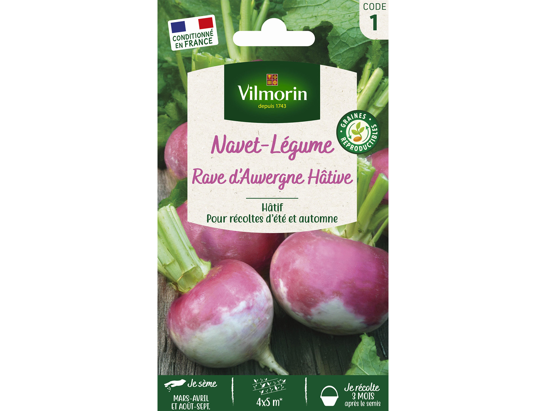 Navet-Légume Rave d'Auvergne Hâtive VILMORIN Série 1