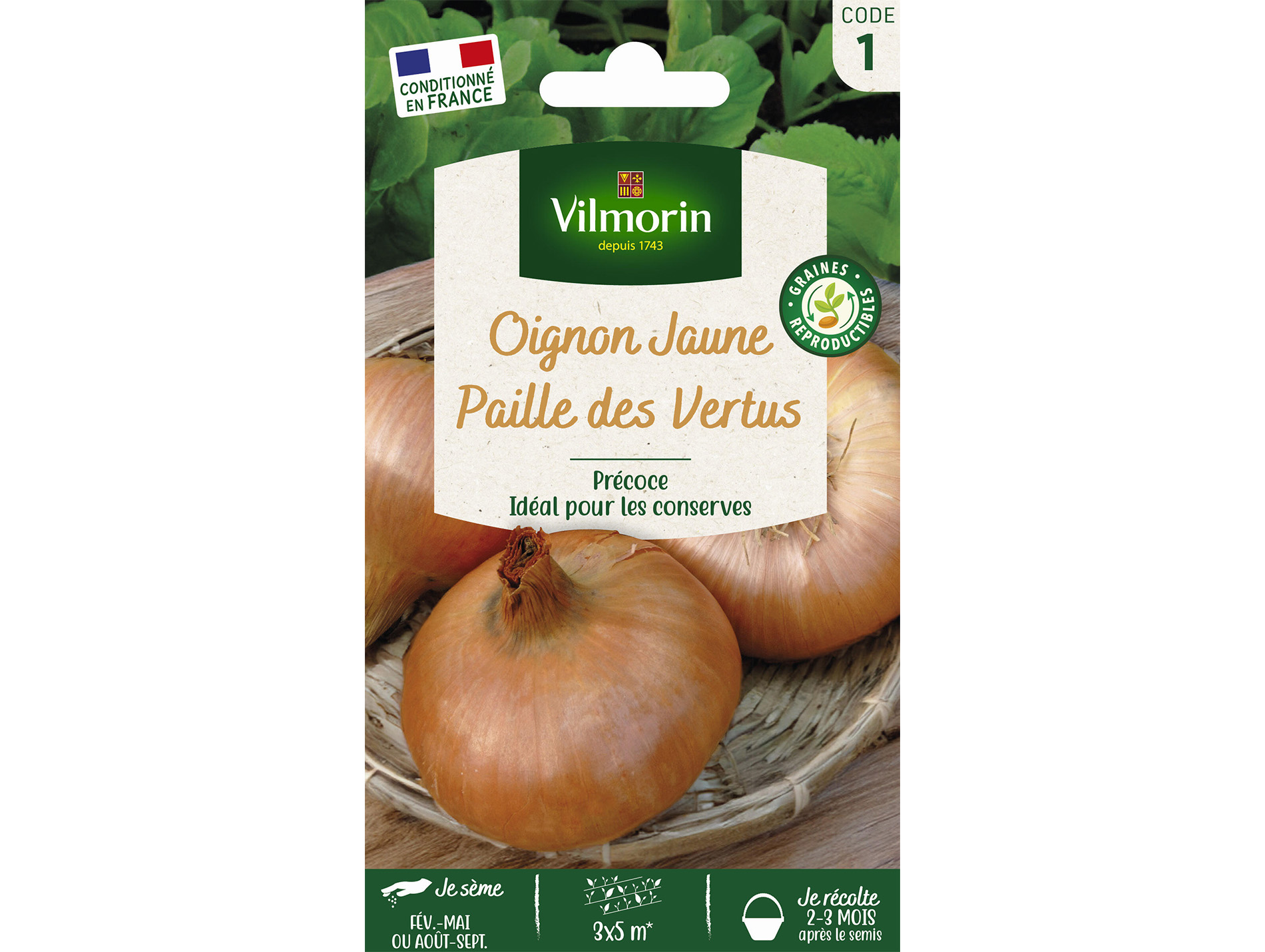 Oignon jaune Paille des Vertus VILMORIN Série 1
