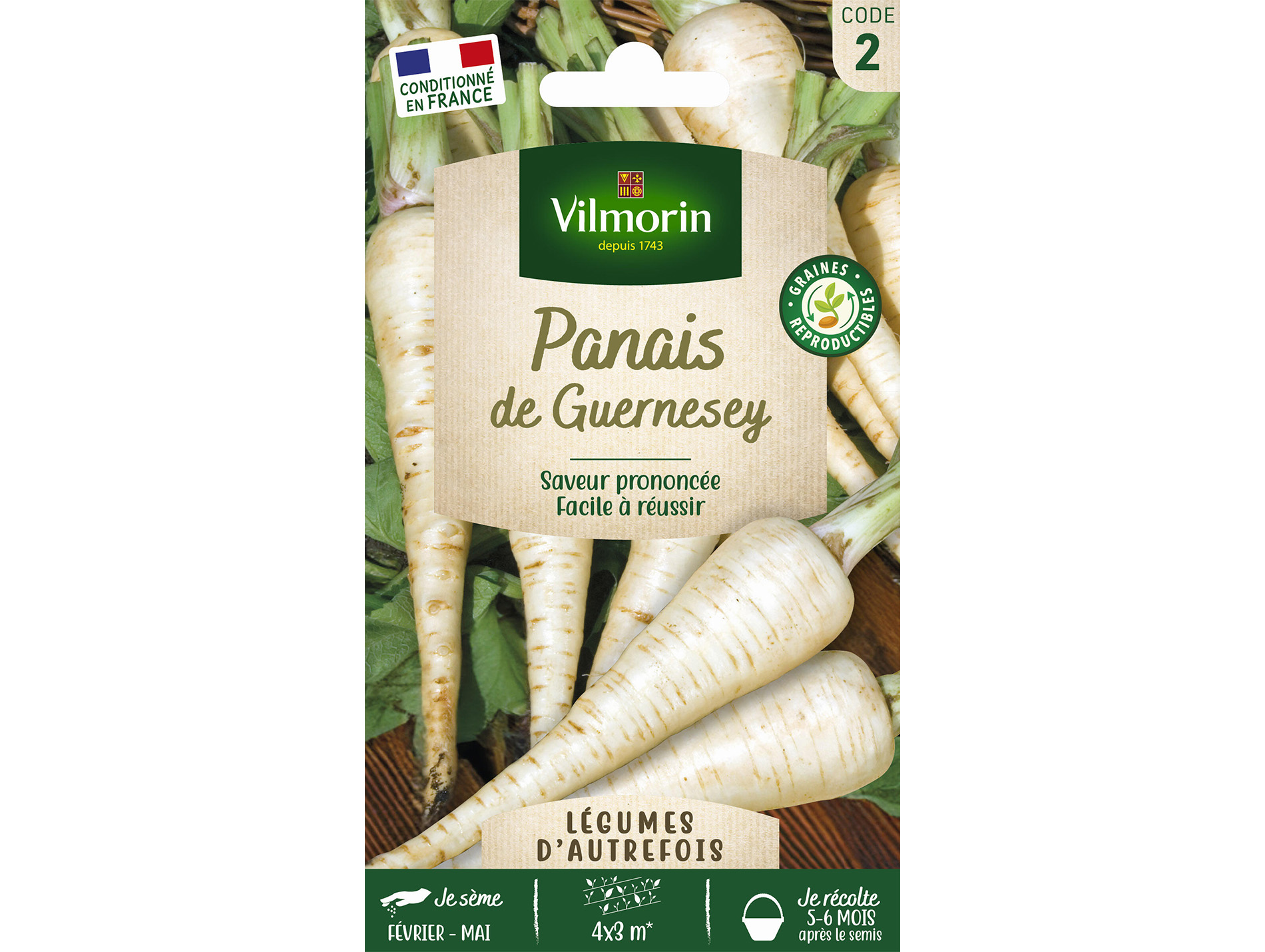 Panais de Guernesey VILMORIN Série 2