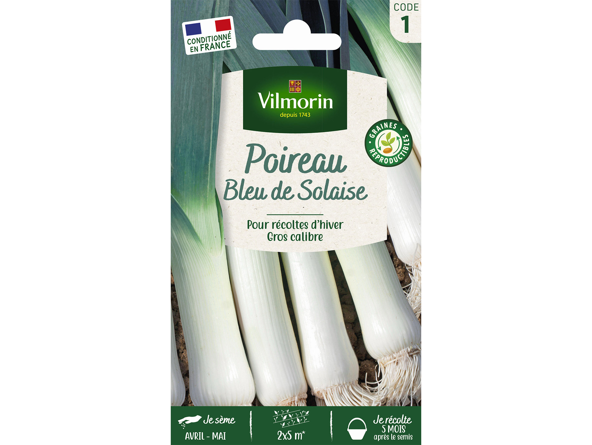 Poireau Bleu de Solaise VILMORIN Série 1