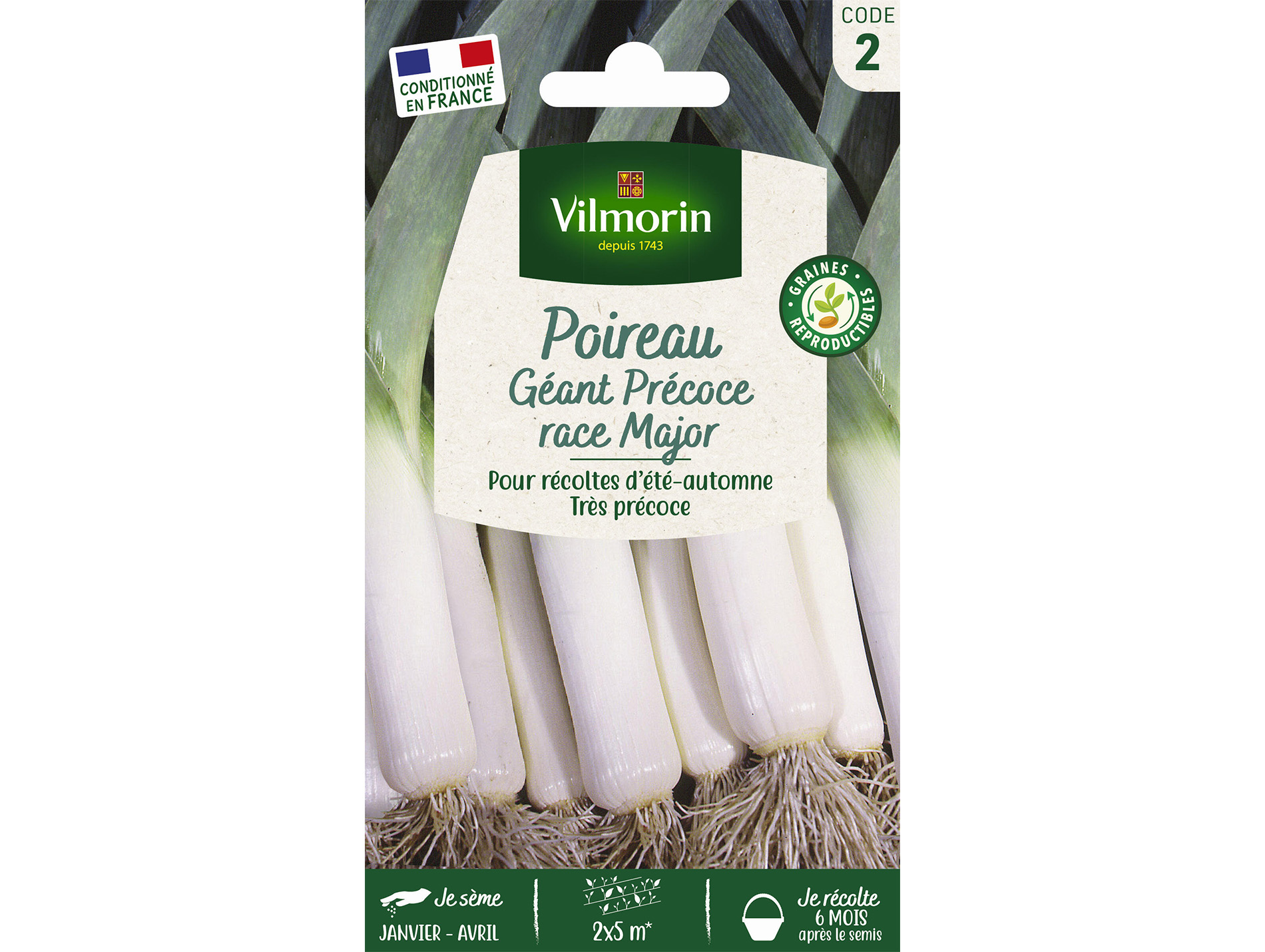 Poireau Géant précose Race Major VILMORIN Série 2